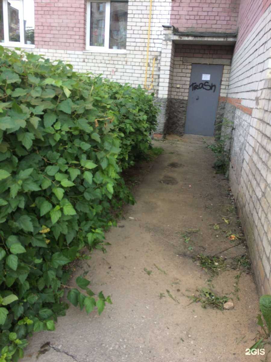 Отзывы на компанию Прайм-стоматология в Рязани c фото - фотография 2 из 2