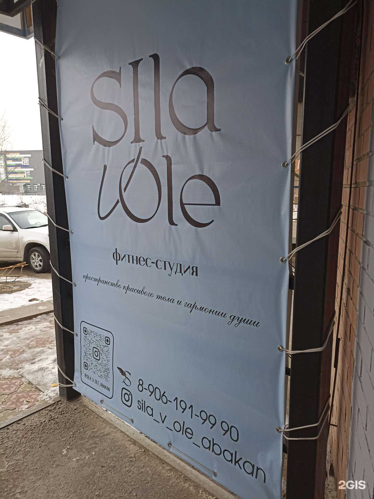 Отзывы на компанию Sila vole в Абакане c фото