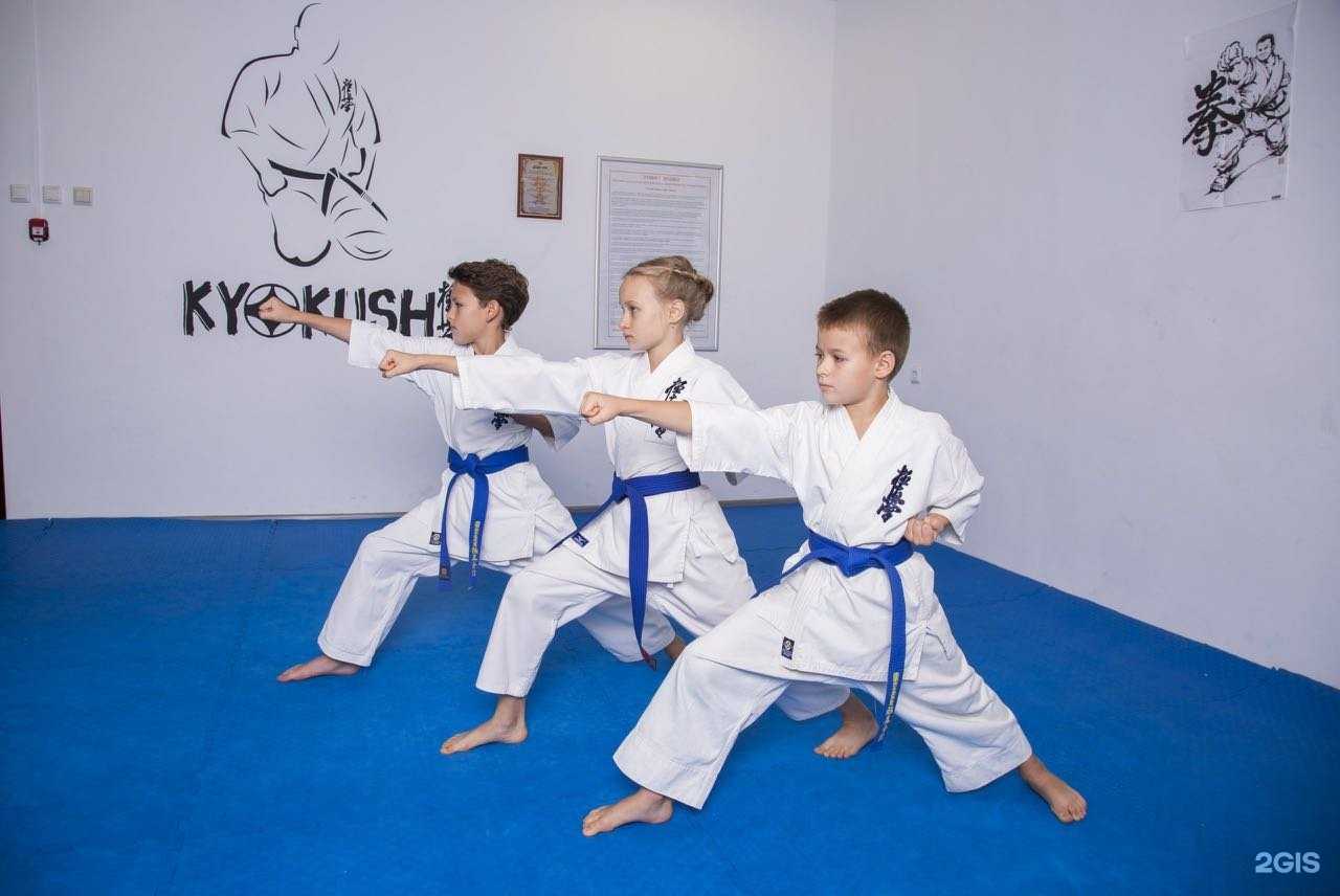Отзывы на компанию Федерация киокушинкай каратэ в г. Воронеж c фото