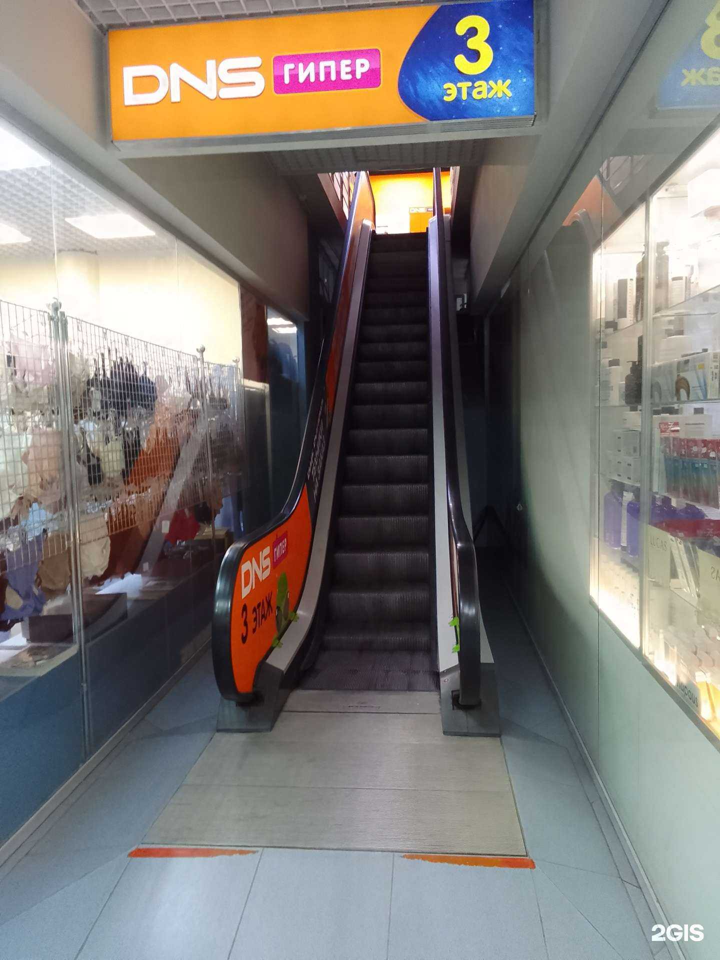 Отзывы на компанию DNS в Владимире c фото