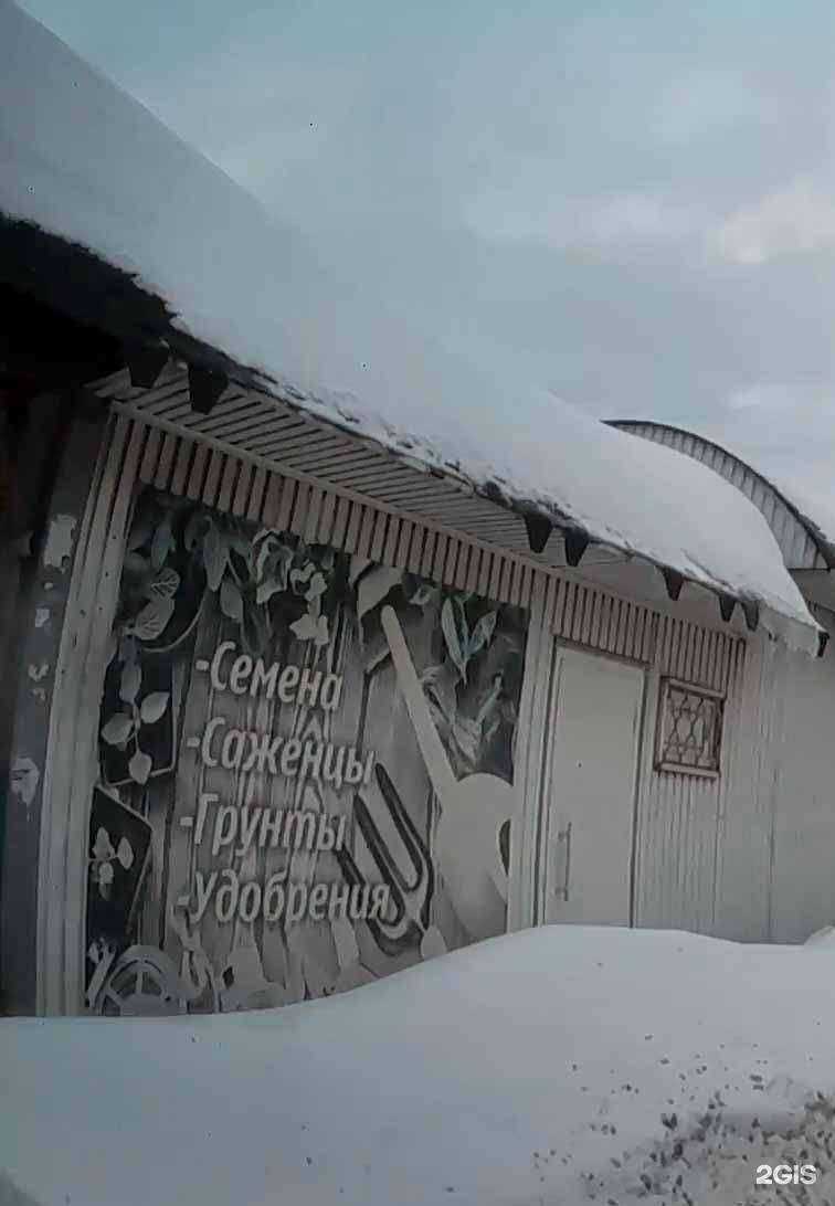 Отзывы на компанию Цветущая усадьба в г. Череповец c фото