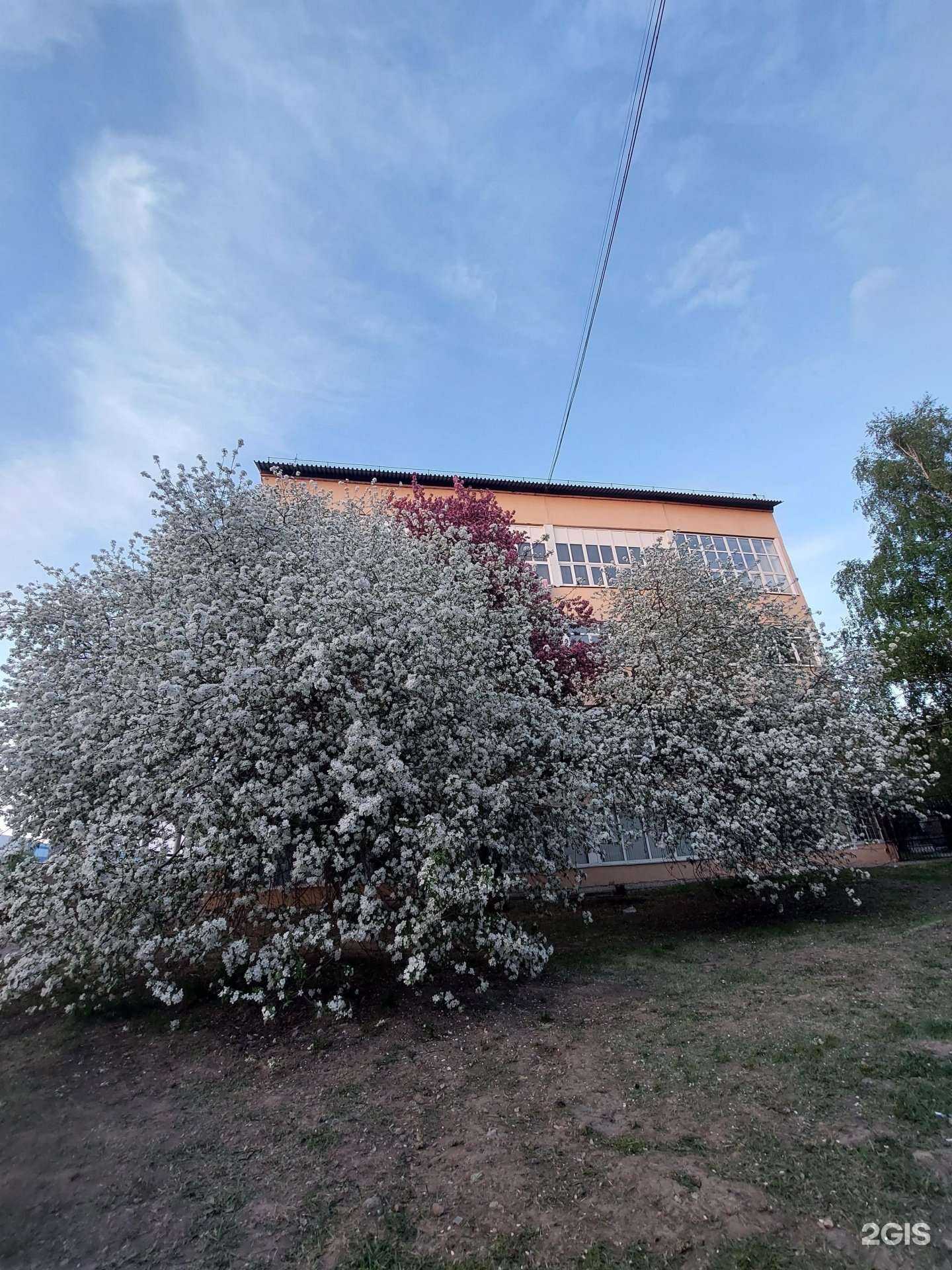 Отзывы на компанию Студия наращивания ресниц  в Барнауле c фото - фотография 2 из 2