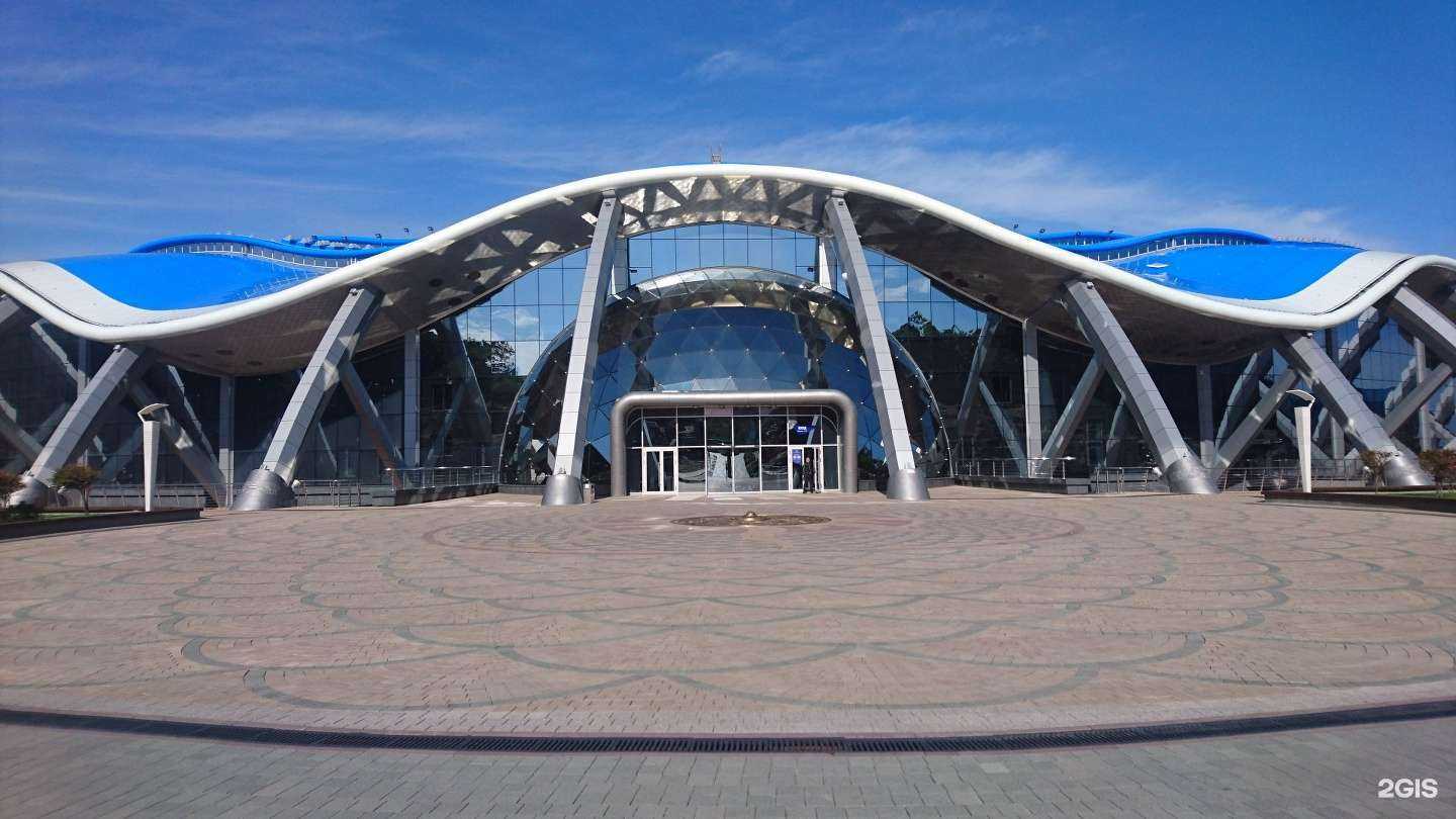 Отзывы на компанию Шамора-тур в г. Владивосток c фото