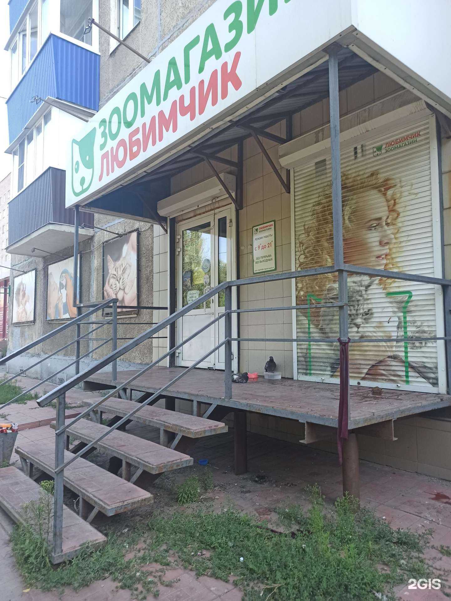 Отзывы на компанию Любимчик в Орске c фото