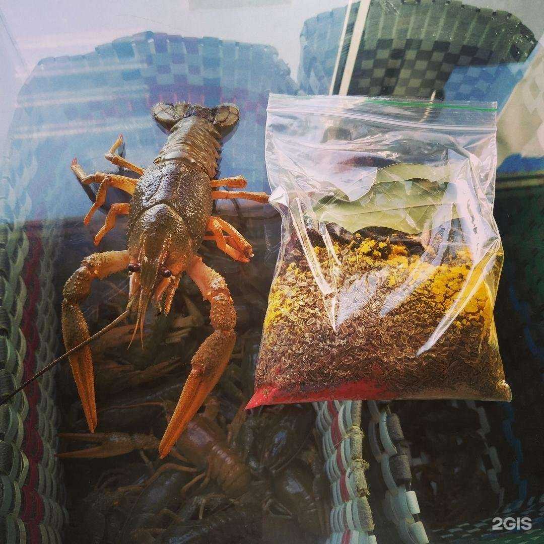 Отзывы на компанию Волжские раки в Самаре c фото