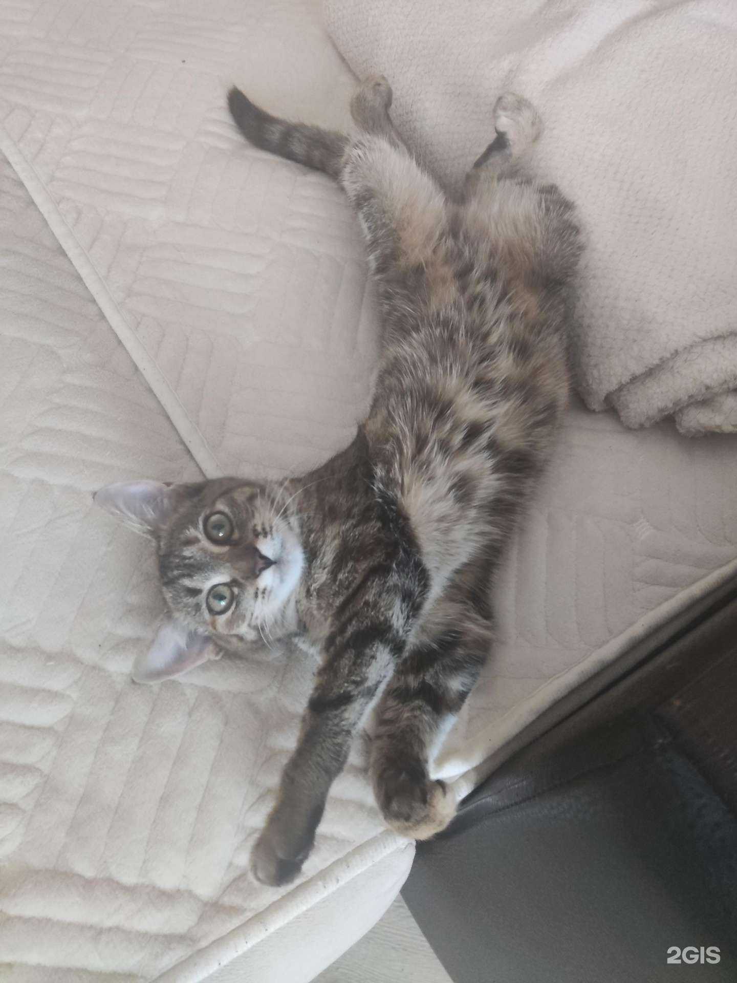 Отзывы на компанию Успех в г. Йошкар-Ола c фото