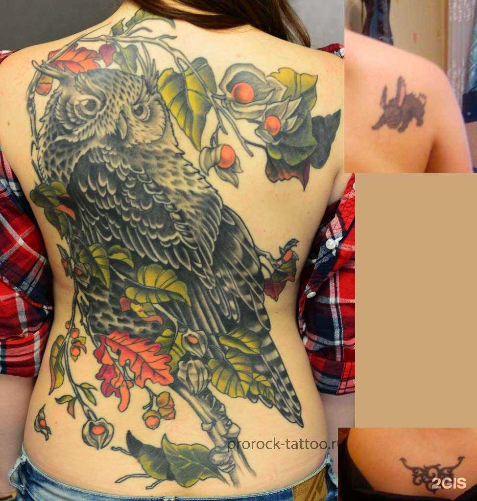 Отзывы на компанию Prorock crew в Самаре c фото