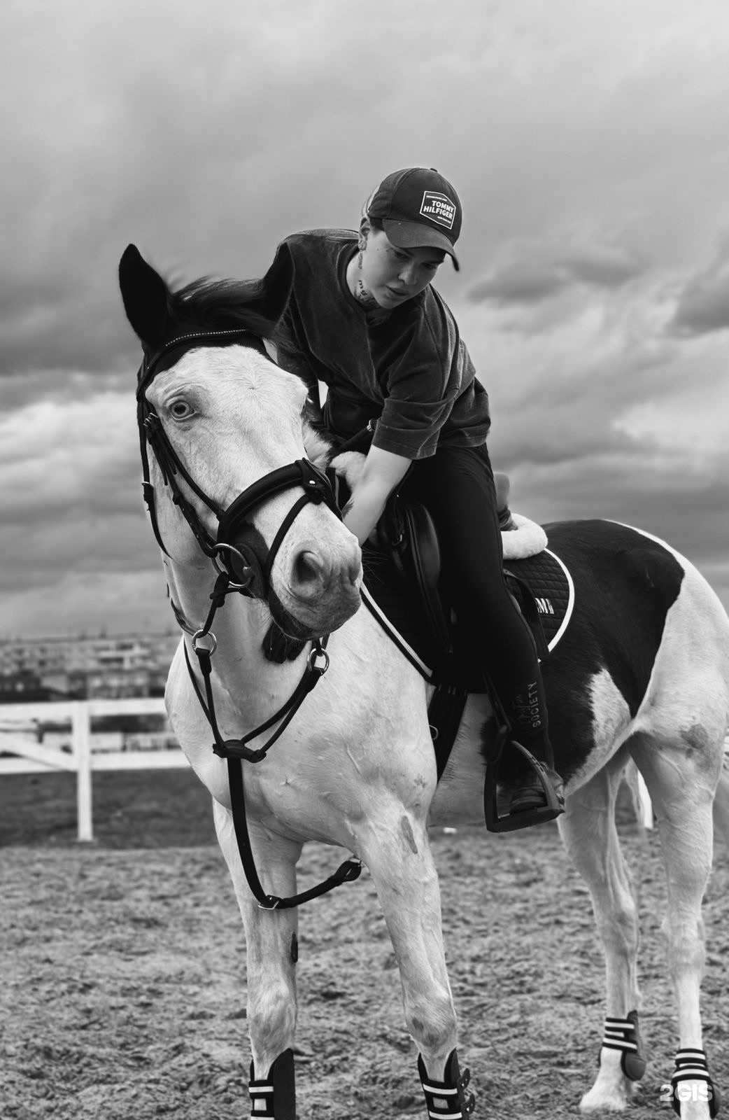 Отзывы на компанию Хорс райдин в Омске c фото