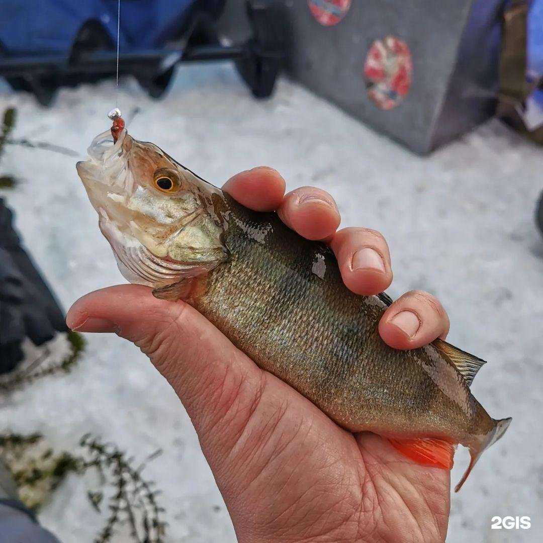 Отзывы на компанию Боцман в Иркутске c фото