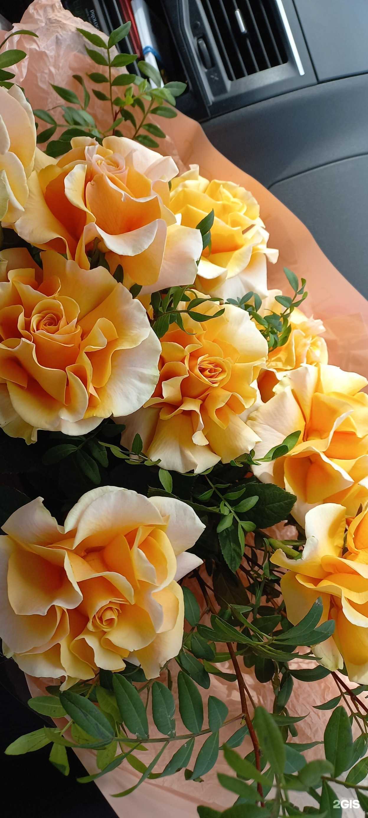 Отзывы на компанию Цветодом в Нижнем Тагиле c фото