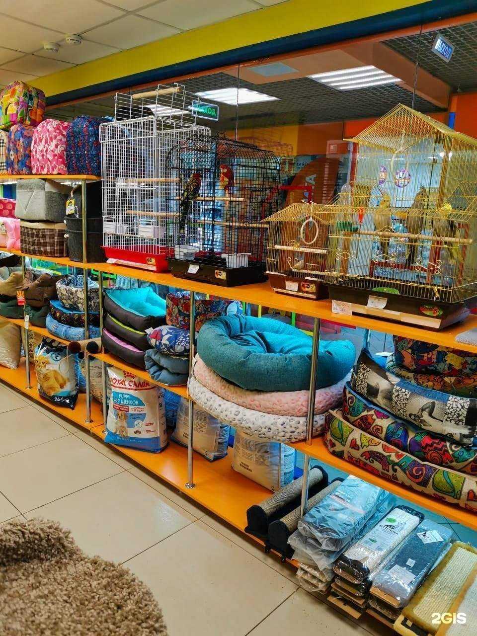 Отзывы на компанию Академия домашних животных в Самаре c фото