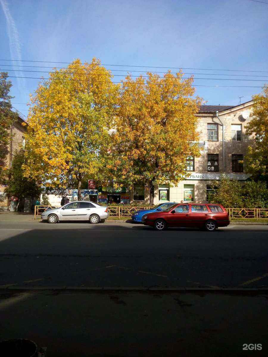 Отзывы на компанию Мобильная экзотика в Петрозаводске c фото - фотография 2 из 2