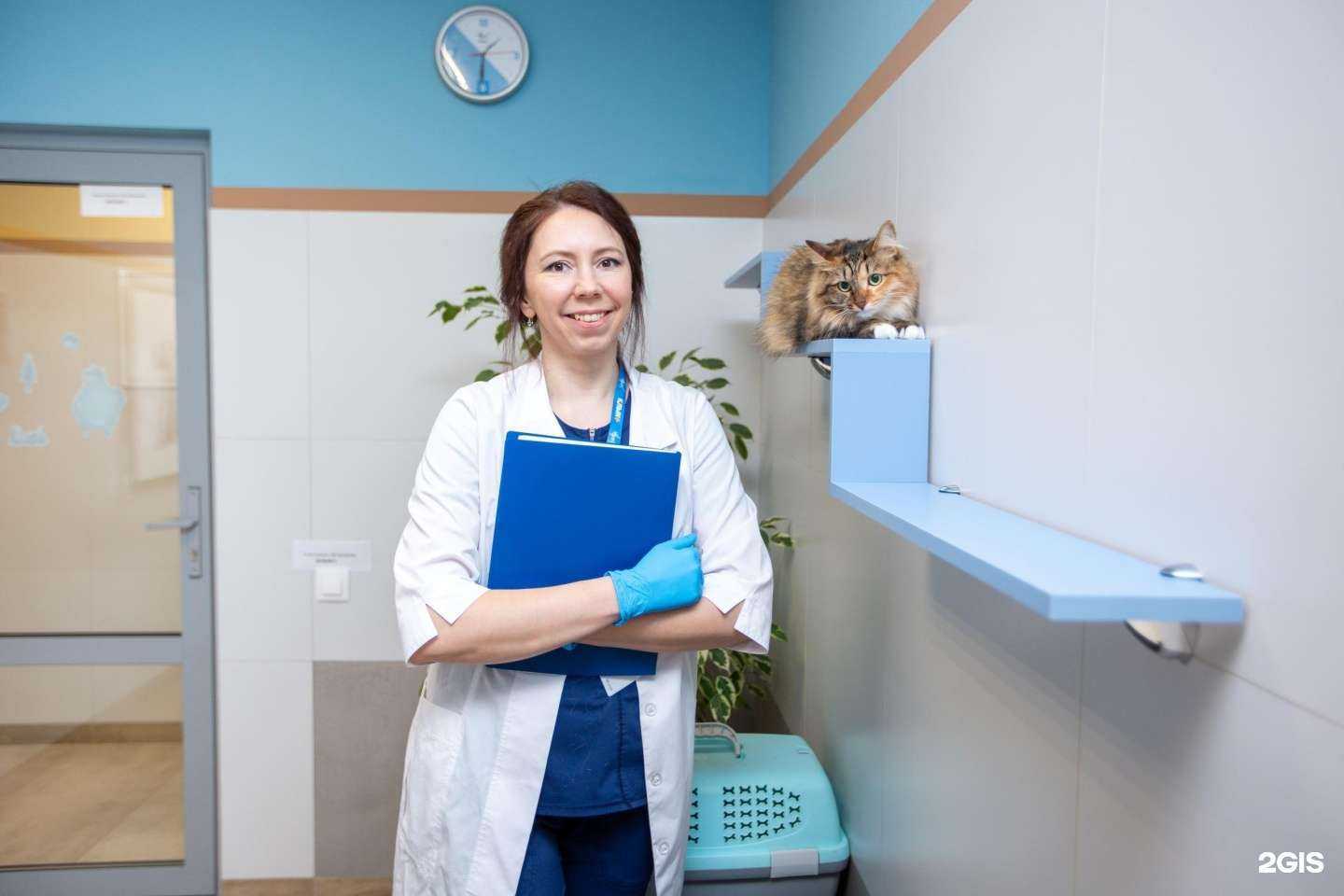 Отзывы на компанию Клык+ в г. Пермь c фото