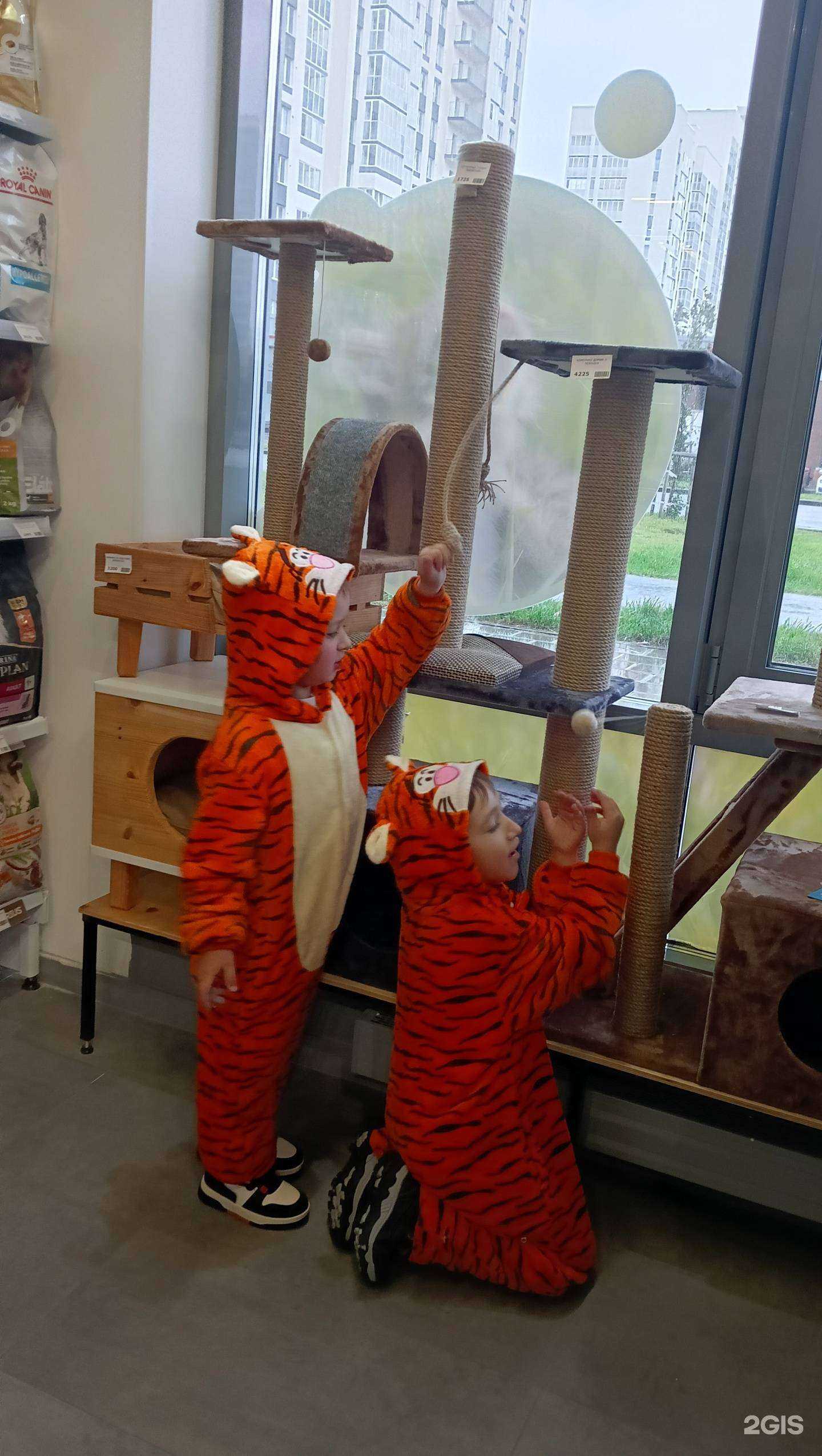 Отзывы на компанию Тапир в Екатеринбурге c фото