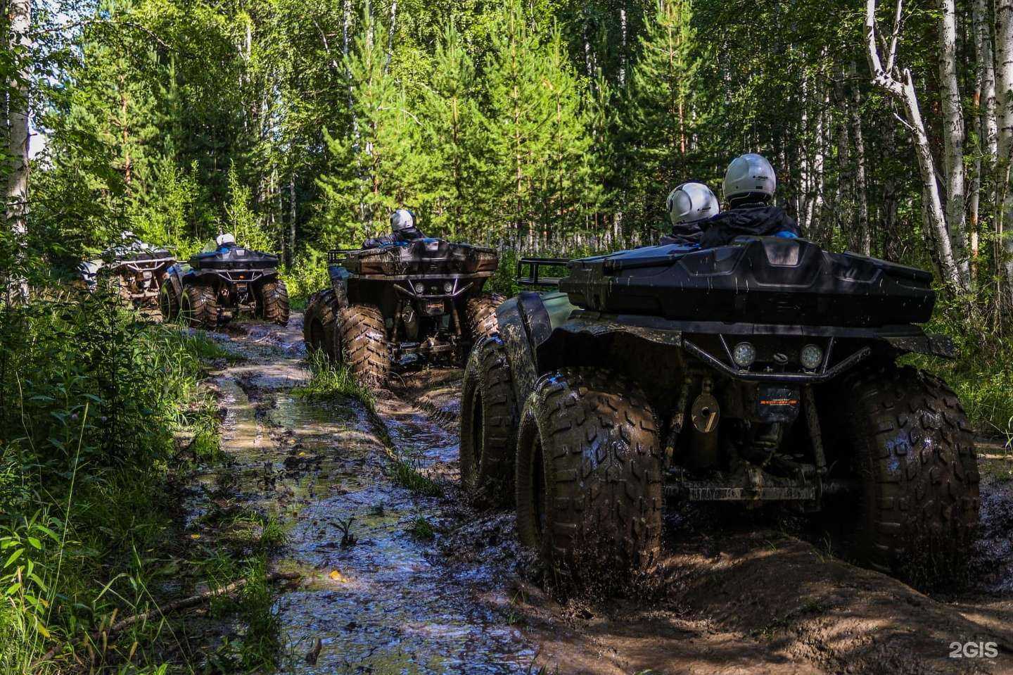 Отзывы на компанию Forest club в г. Верхняя Пышма c фото