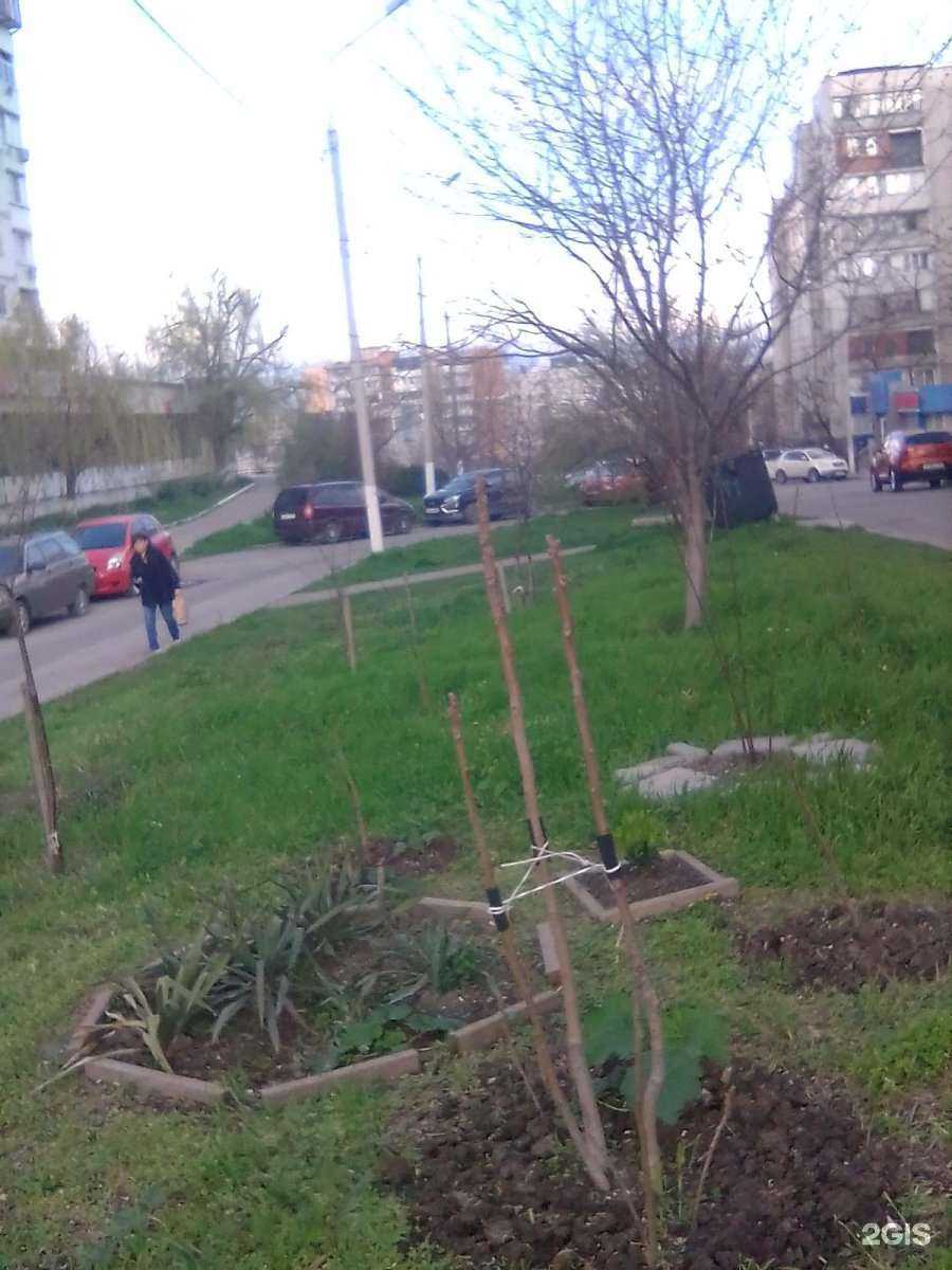 Отзывы на компанию Модные стены в г. Новороссийск c фото