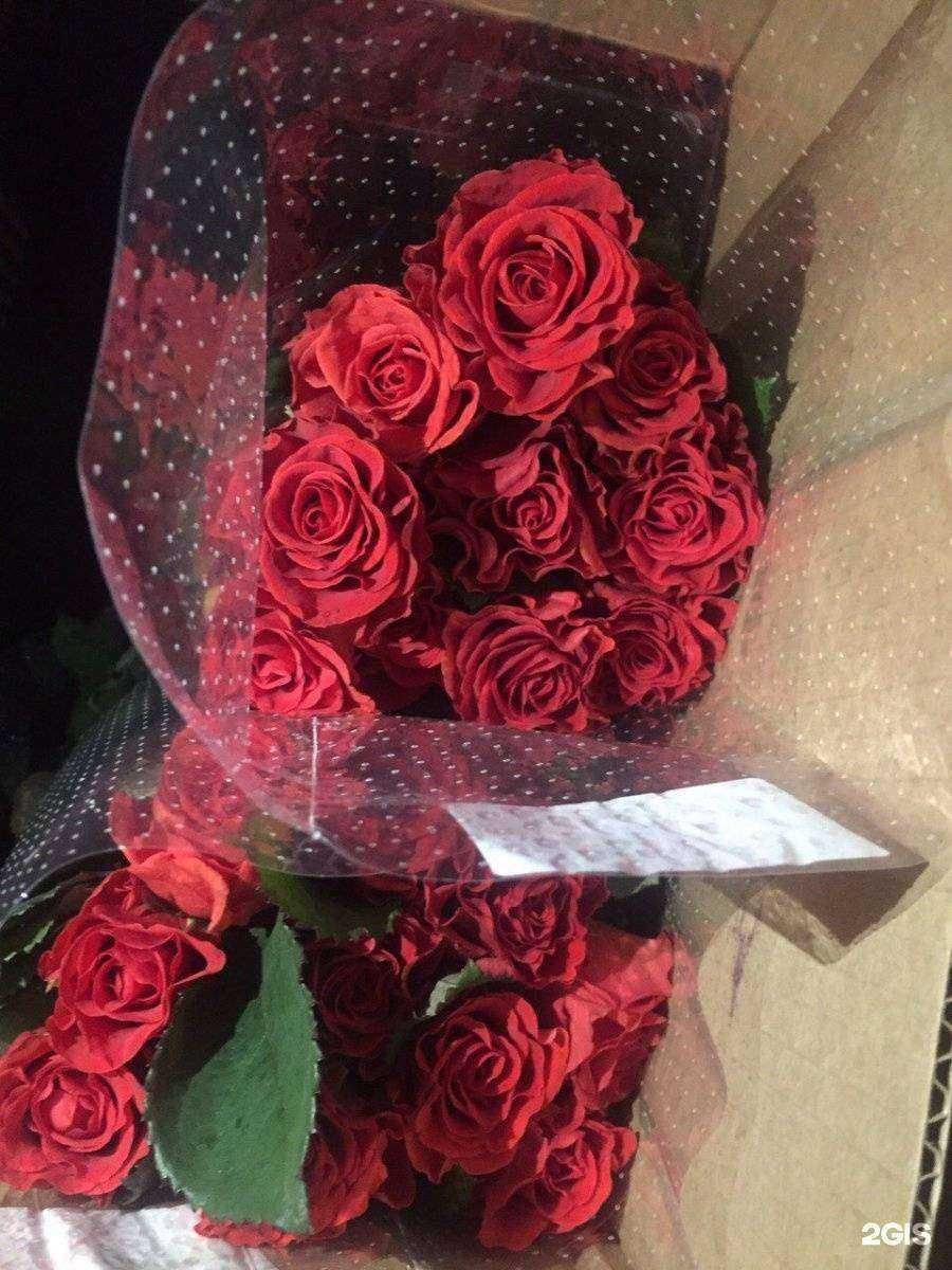 Отзывы на компанию Мокшанская Роза в г. Саратов c фото