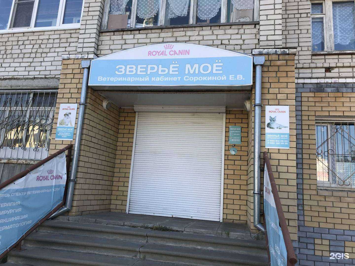 Отзывы на компанию Зверье мое в г. Бор c фото