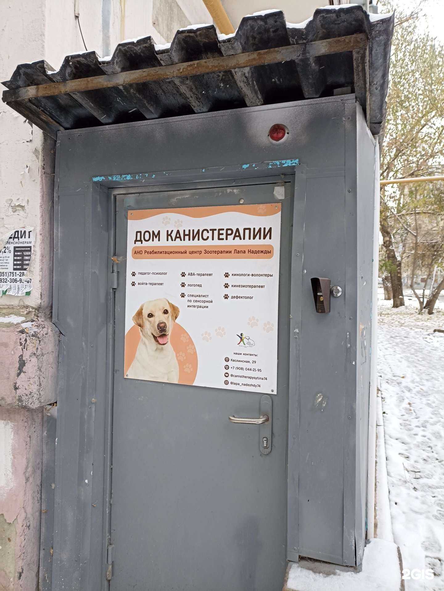 Отзывы на компанию Лапа Надежды в Челябинске c фото