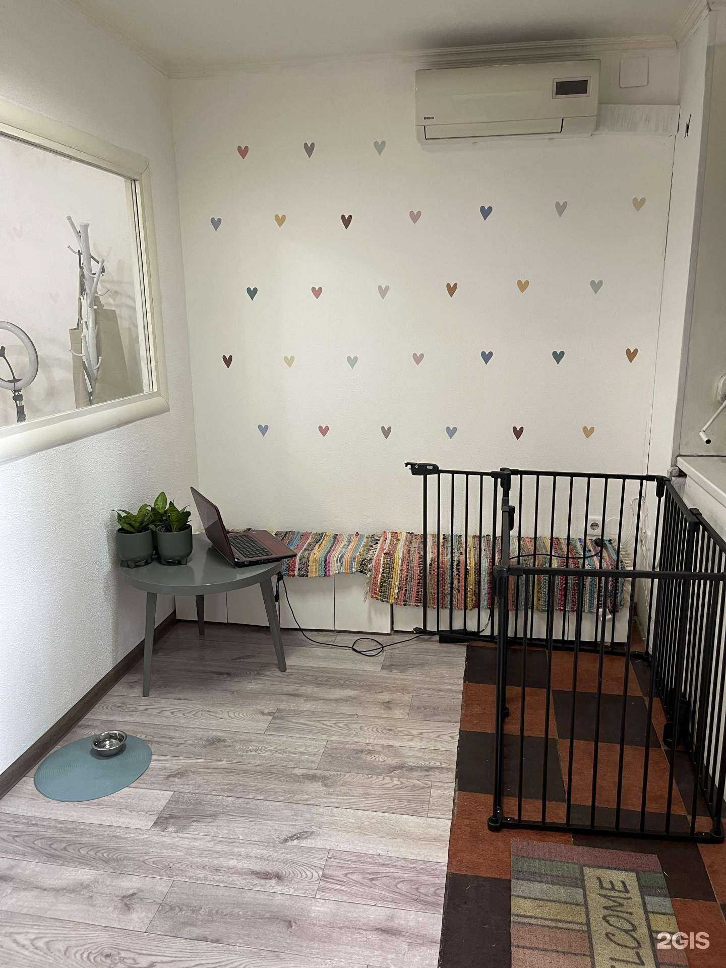 Отзывы на компанию Happy Dog в Улан-Удэ c фото