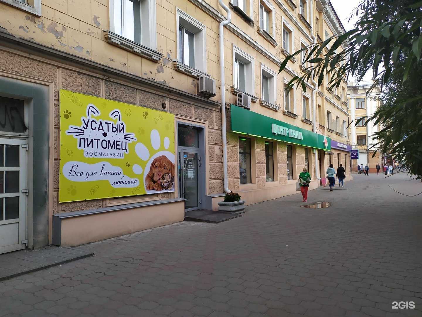 Отзывы на компанию Усатый питомец в г. Омск c фото