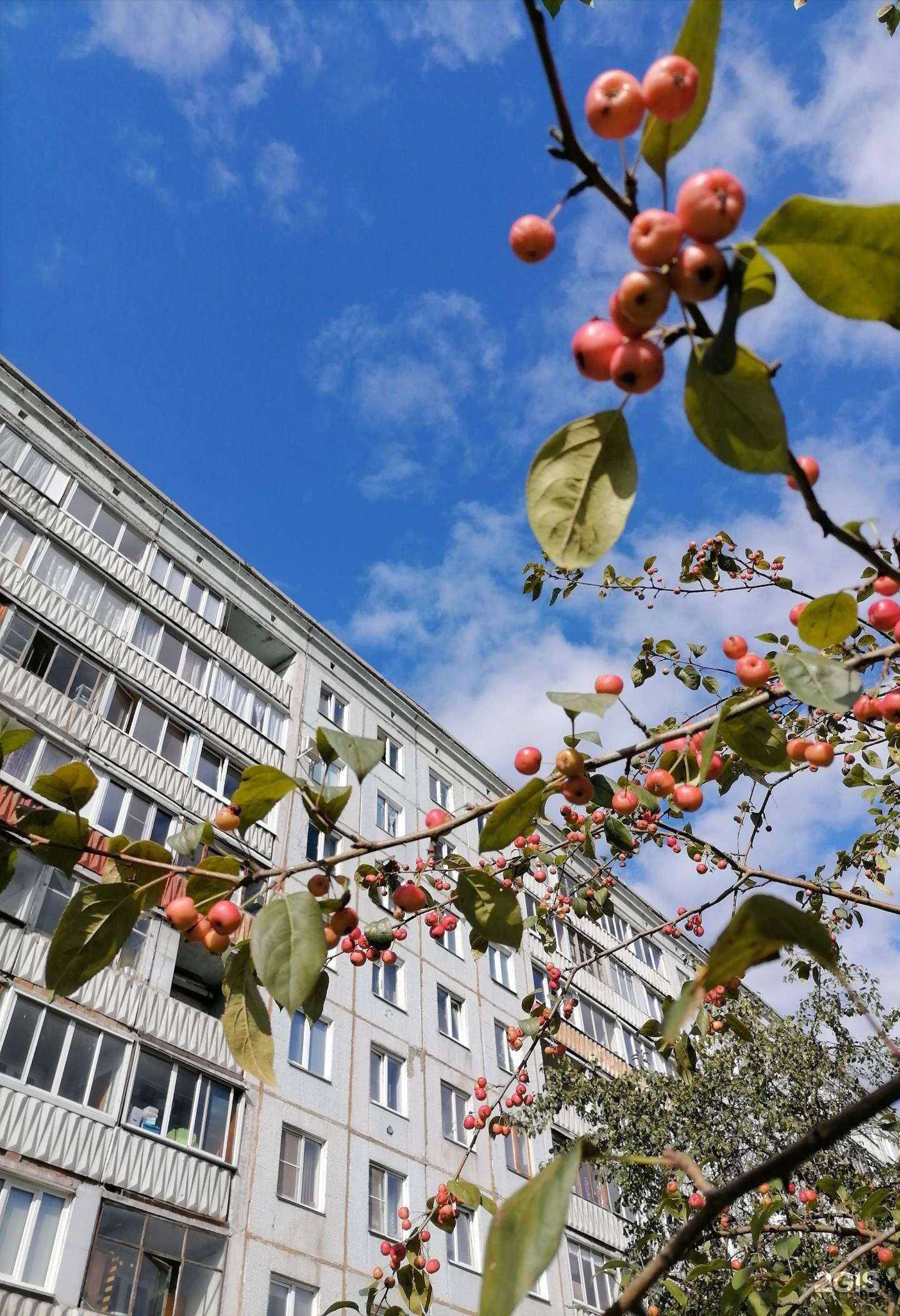 Отзывы на компанию Лоск в Кемерове c фото - фотография 2 из 2