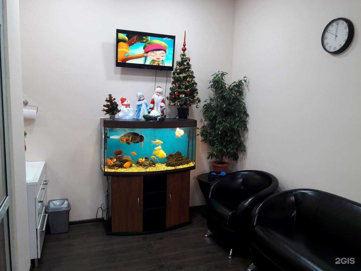 Отзывы на компанию Учёный кот в г. Чита c фото