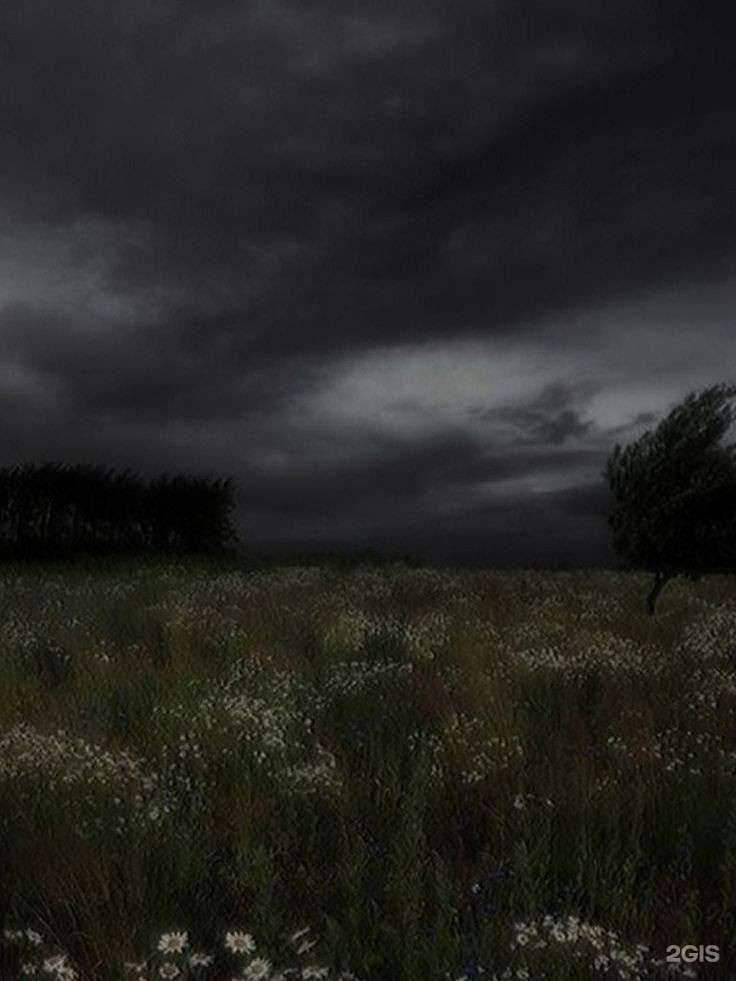 Отзывы на компанию Atmosfera Art&Design в Челябинске c фото - фотография 2 из 2