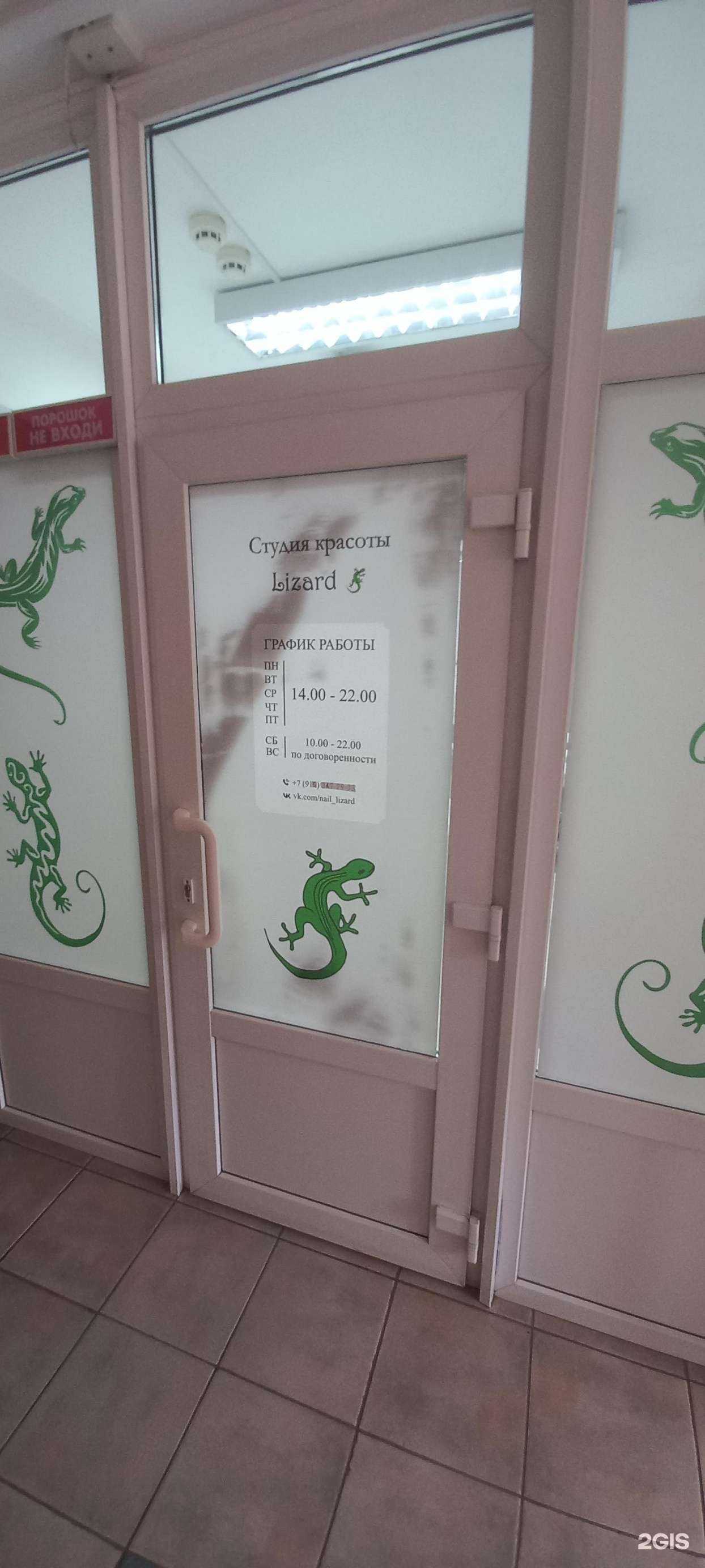 Отзывы на компанию Lizard в Твери c фото