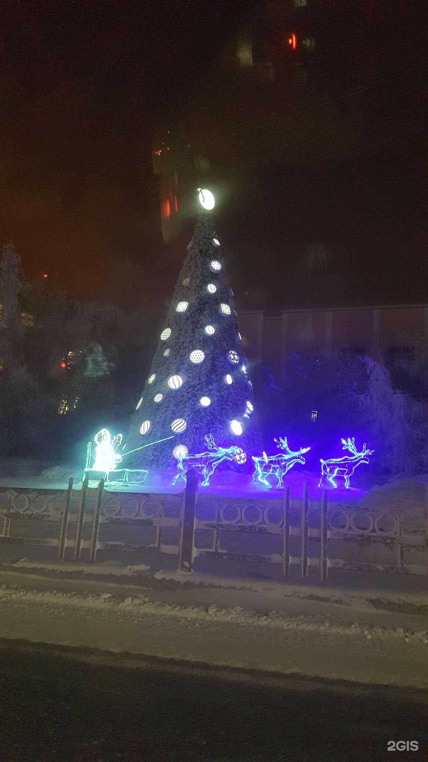 Отзывы на компанию Северо-Восточный федеральный университет им. М.К. Аммосова в Якутске c фото