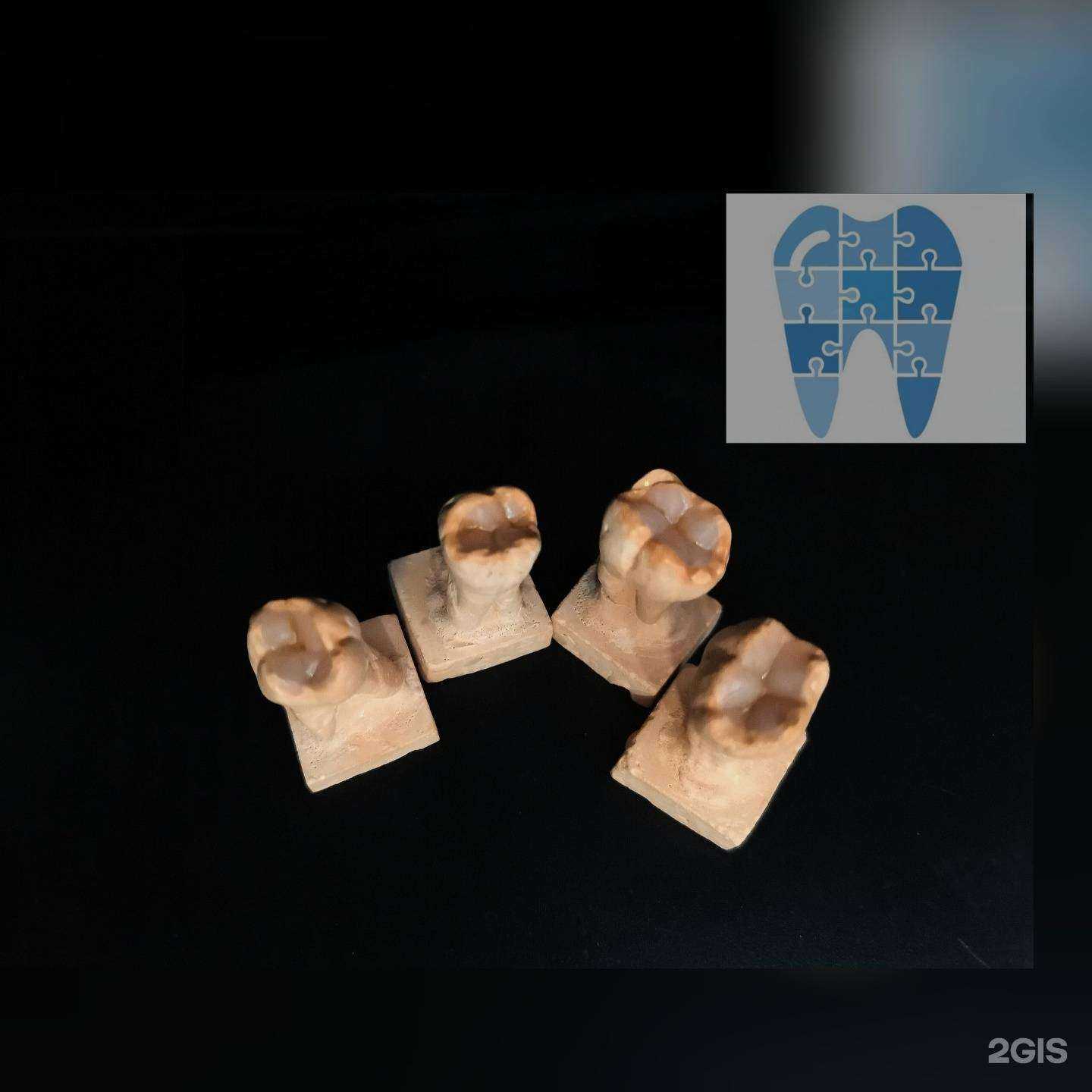 Отзывы на компанию Клиника Современной Стоматологии в г. Владивосток c фото