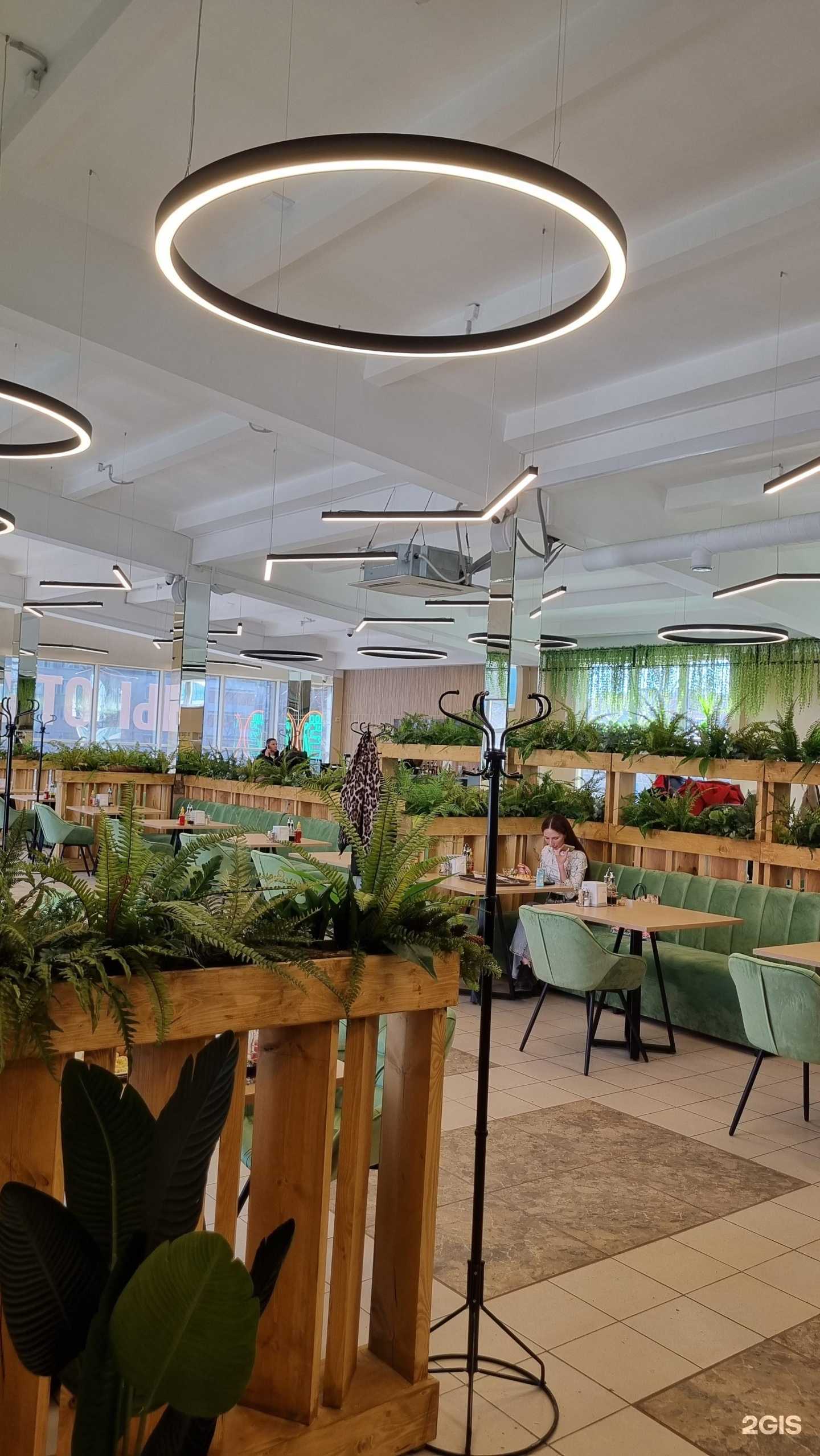 Отзывы на компанию Ёлки Green в Кирове c фото