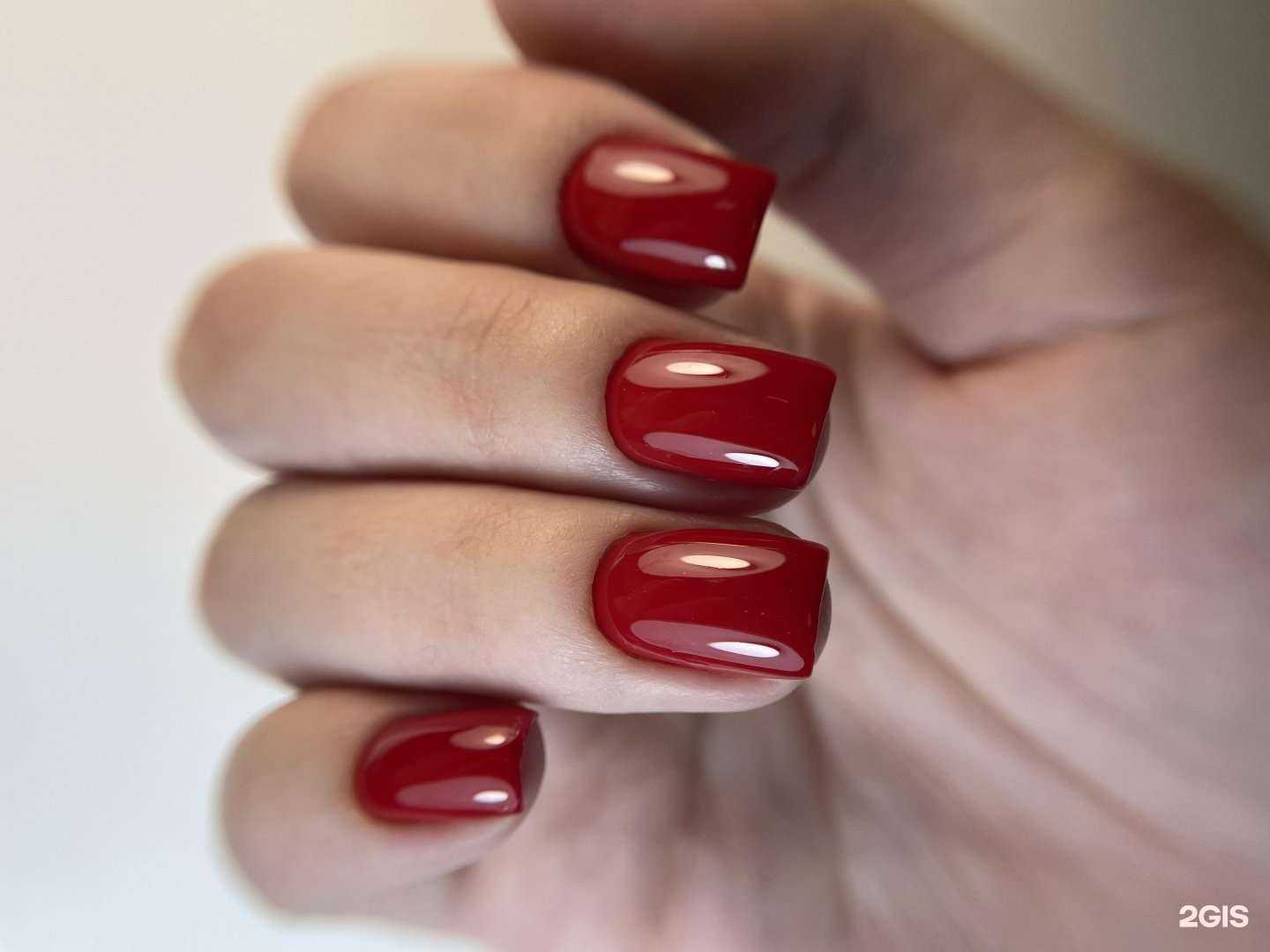 Отзывы на компанию Lucky Lab в Владивостоке c фото