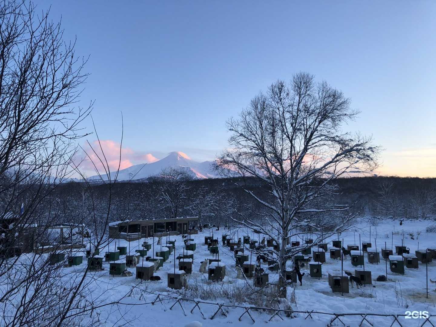 Отзывы на компанию Снежные псы в Петропавловске-Камчатском c фото - фотография 2 из 2