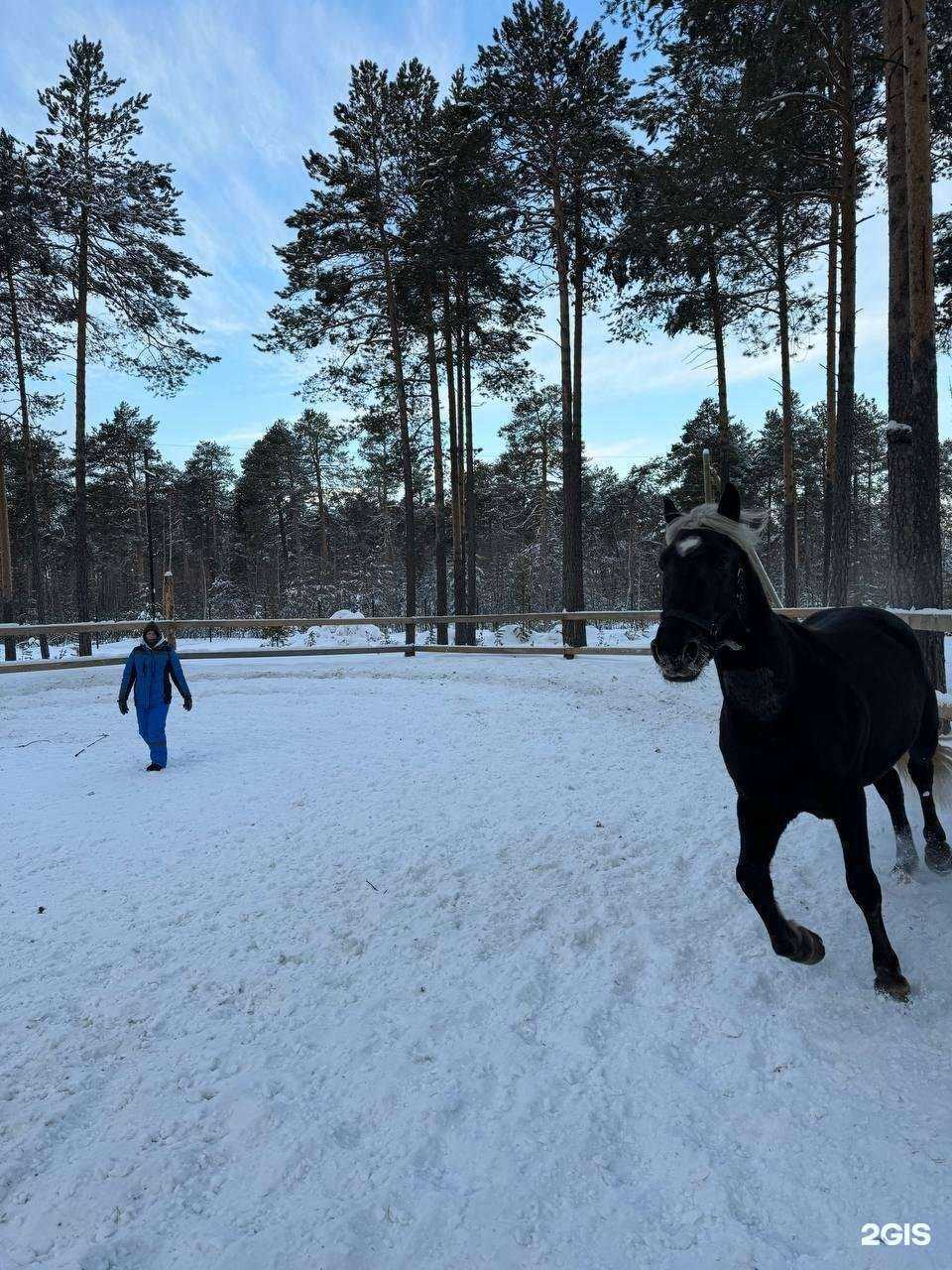 Отзывы на компанию Nordwind в г. Сургут c фото