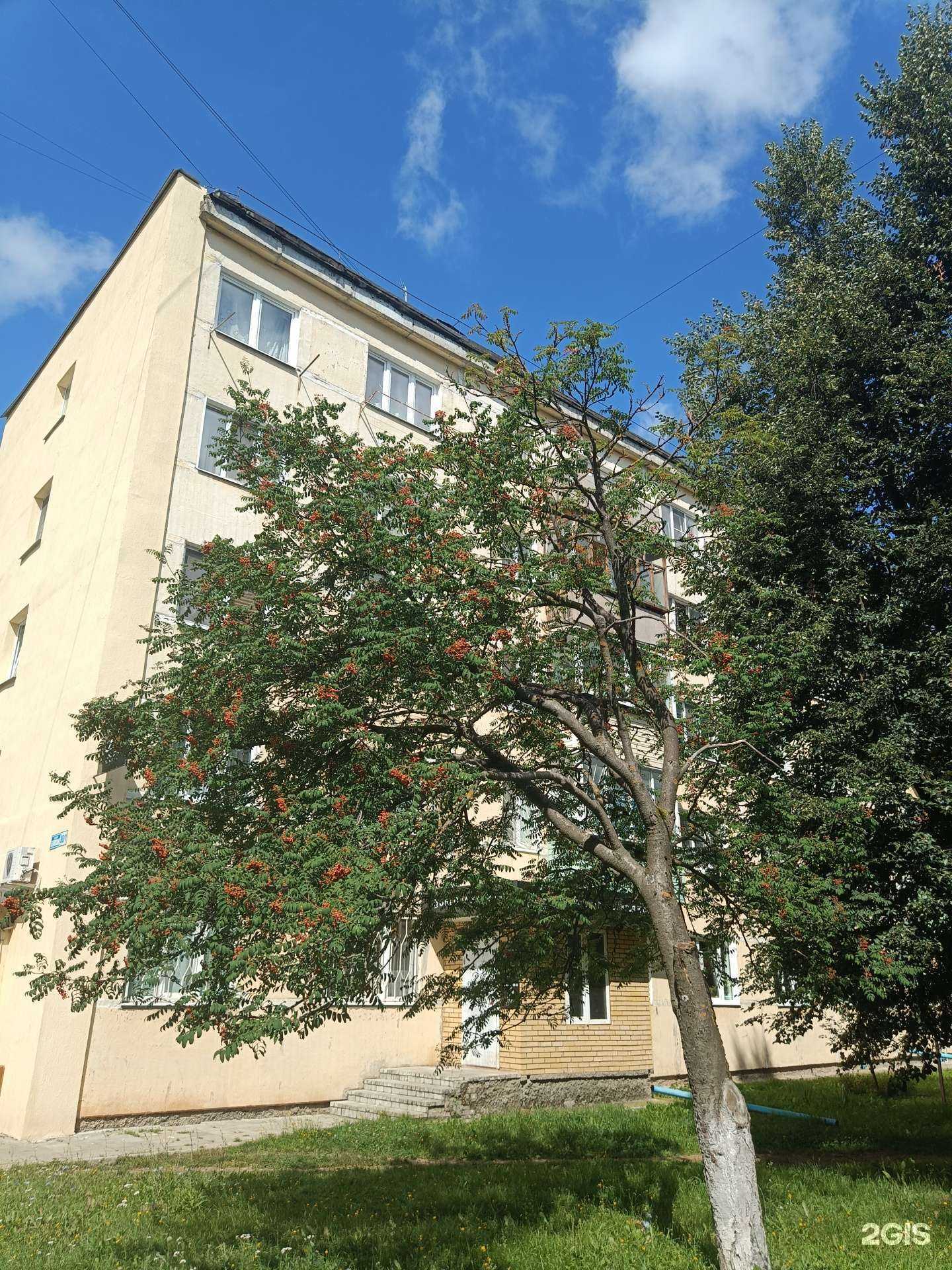 Отзывы на компанию Orlova  в Коврове c фото - фотография 2 из 2