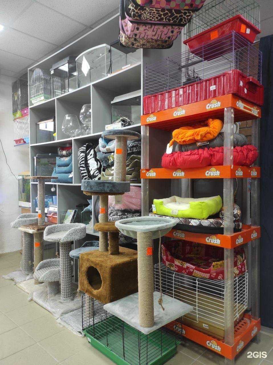 Отзывы на компанию Подводный мир в Пскове c фото