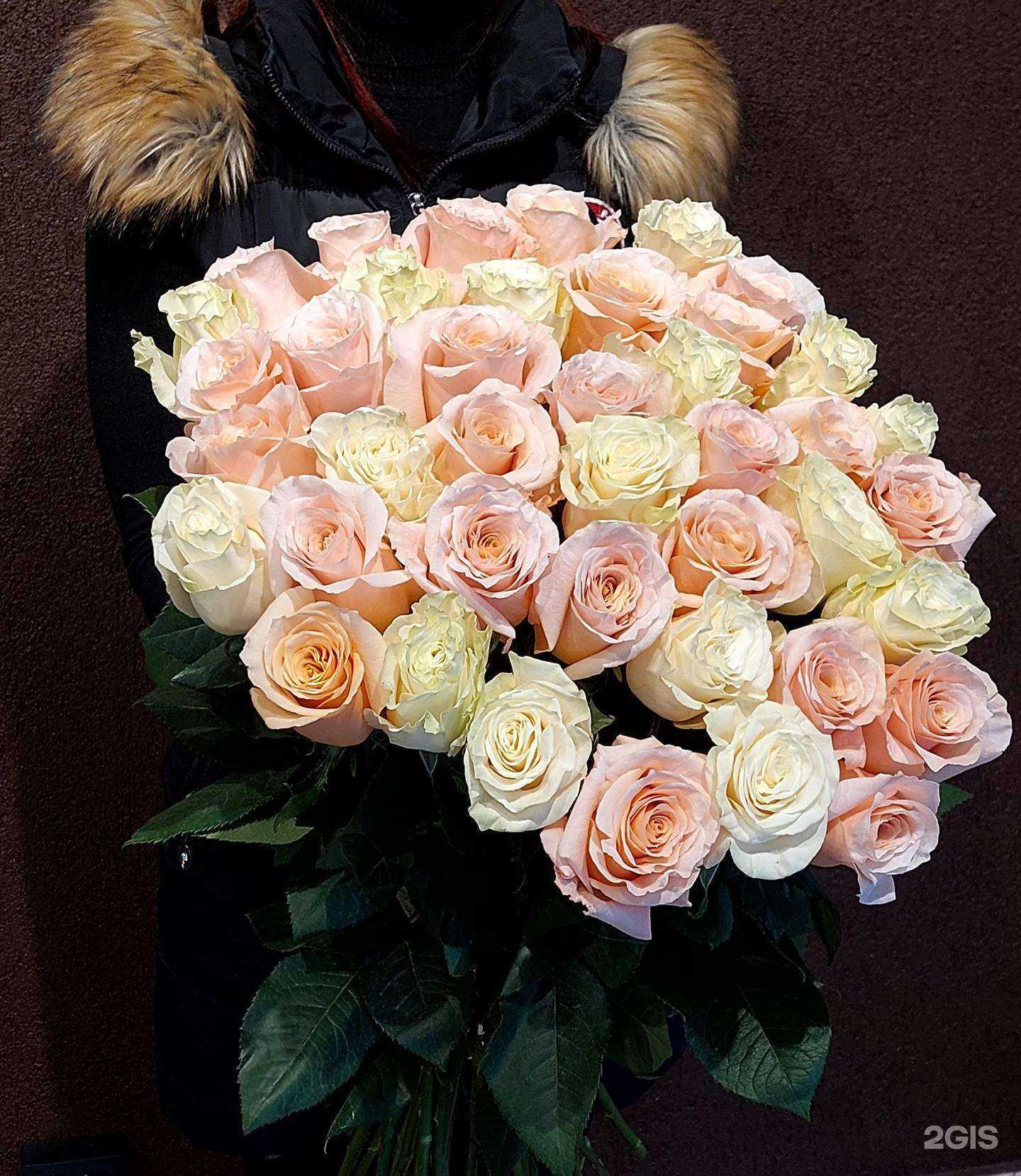 Отзывы на компанию Весна в Рязани c фото