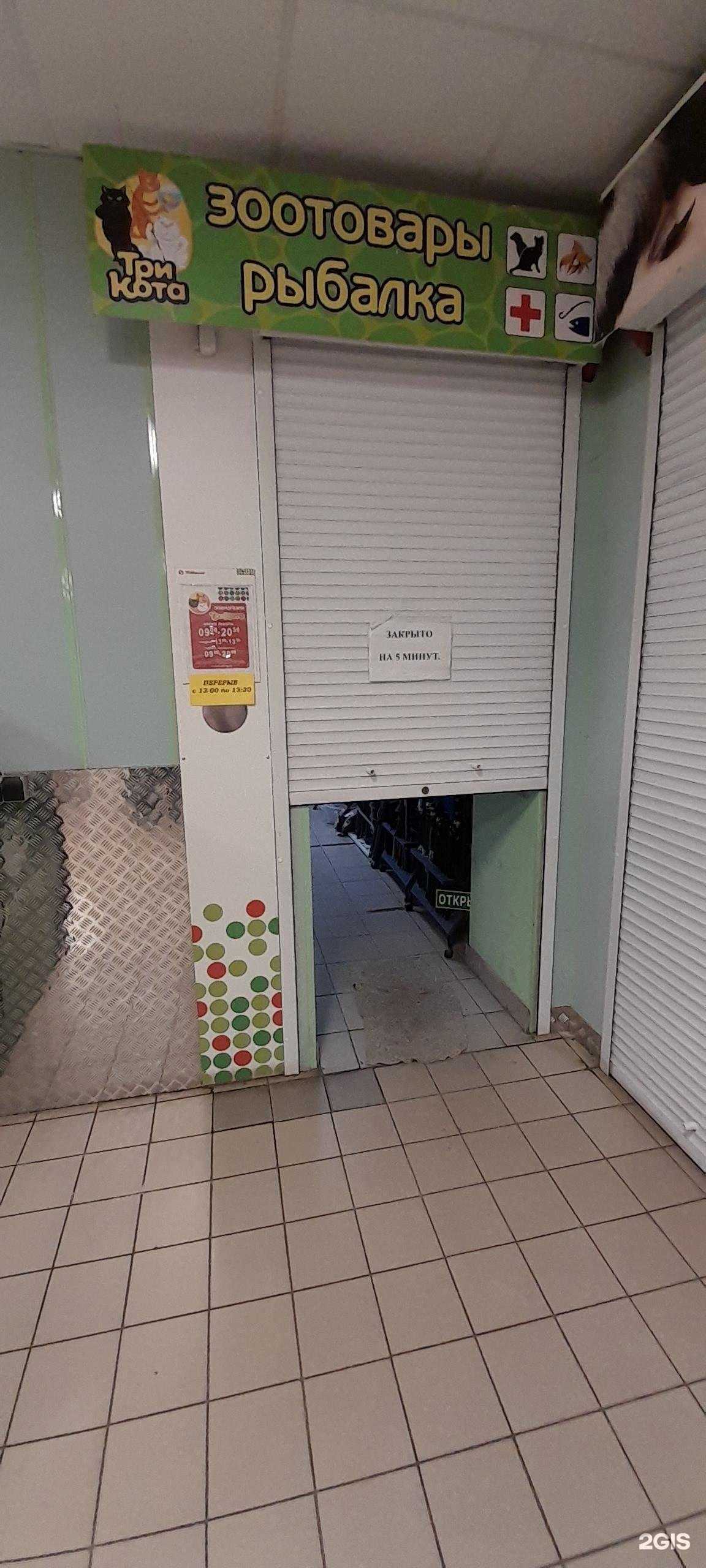 Отзывы на компанию Три кота в г. Воронеж c фото