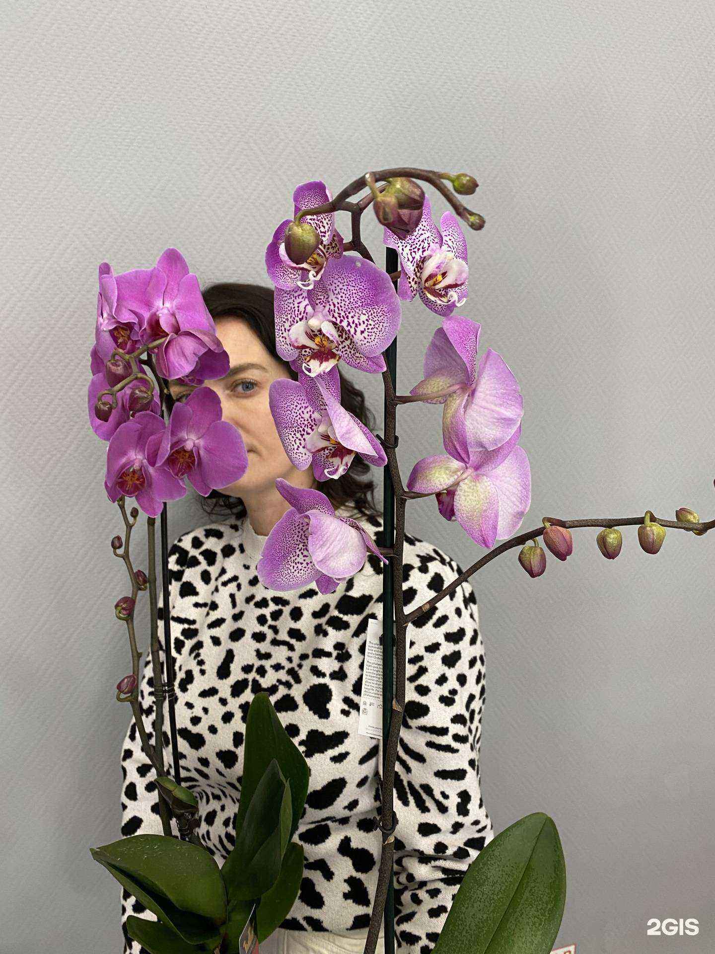 Отзывы на компанию Цветкофф в Биробиджане c фото