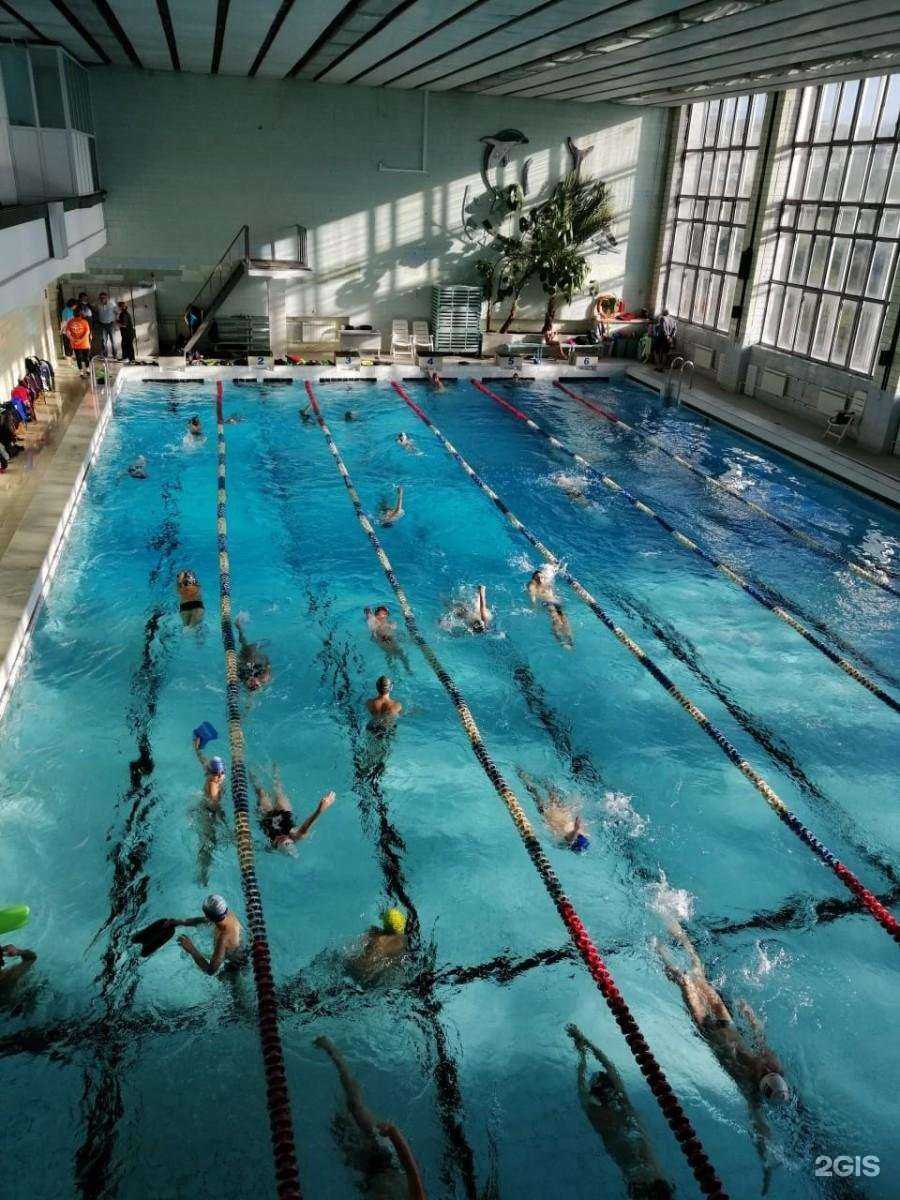 Отзывы на компанию Кристалл в Екатеринбурге c фото