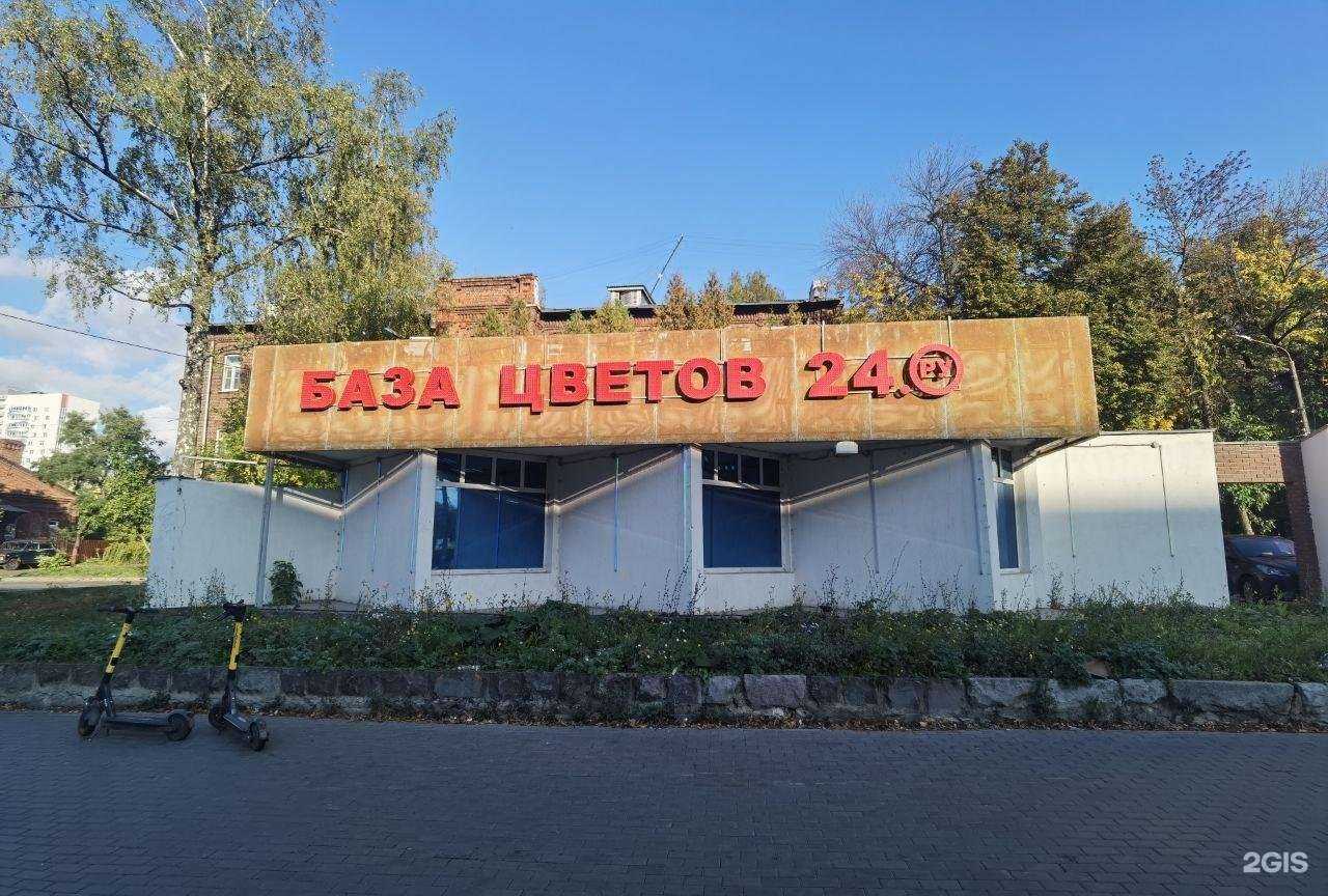 Отзывы на компанию База Цветов 24.ру в Нижнем Новгороде c фото