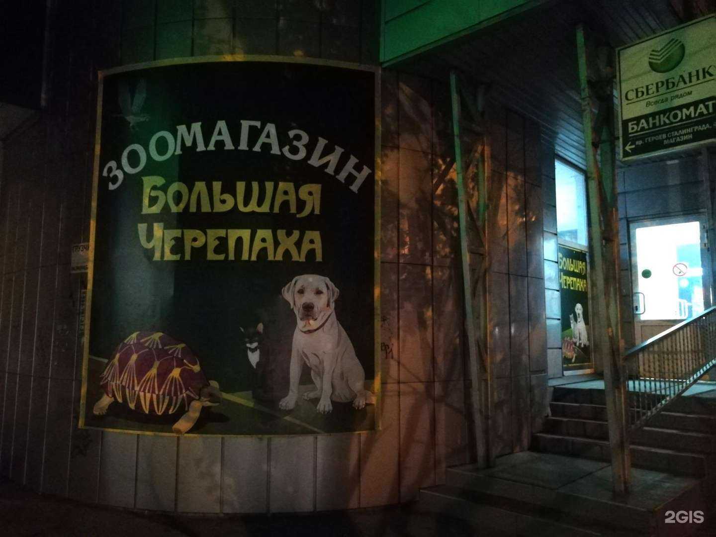 Отзывы на компанию Большая черепаха в Волгограде c фото