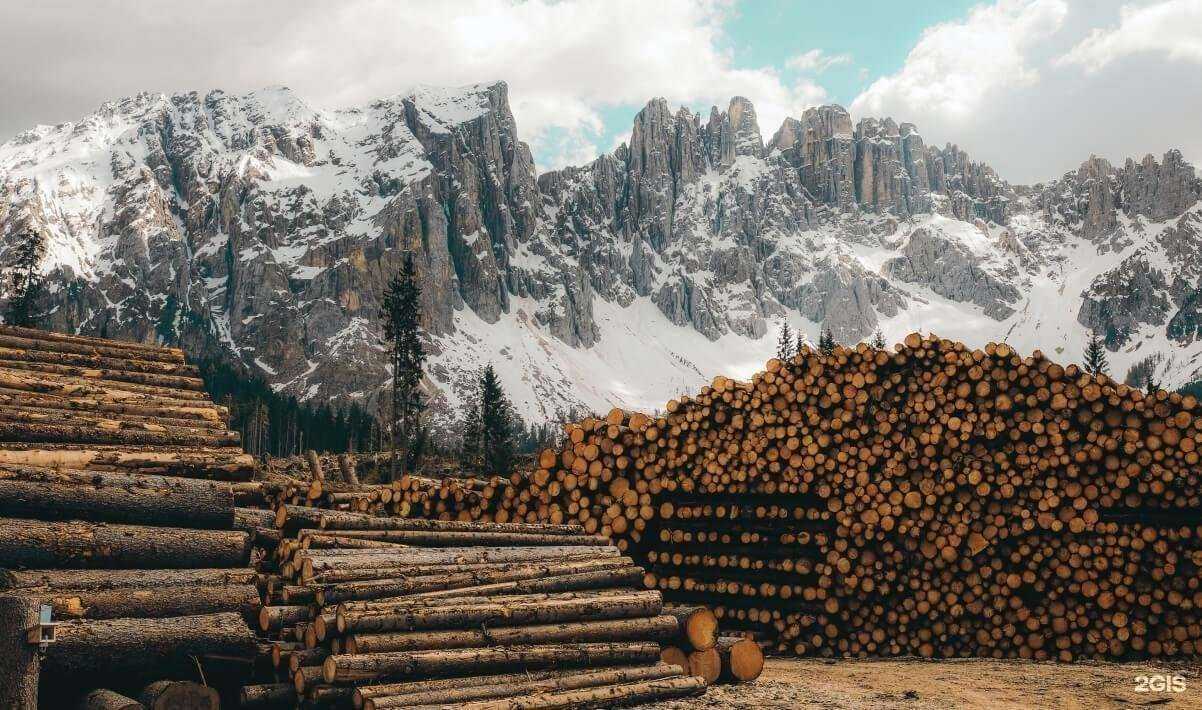 Отзывы на компанию Деловой партнер охраны труда в Омске c фото