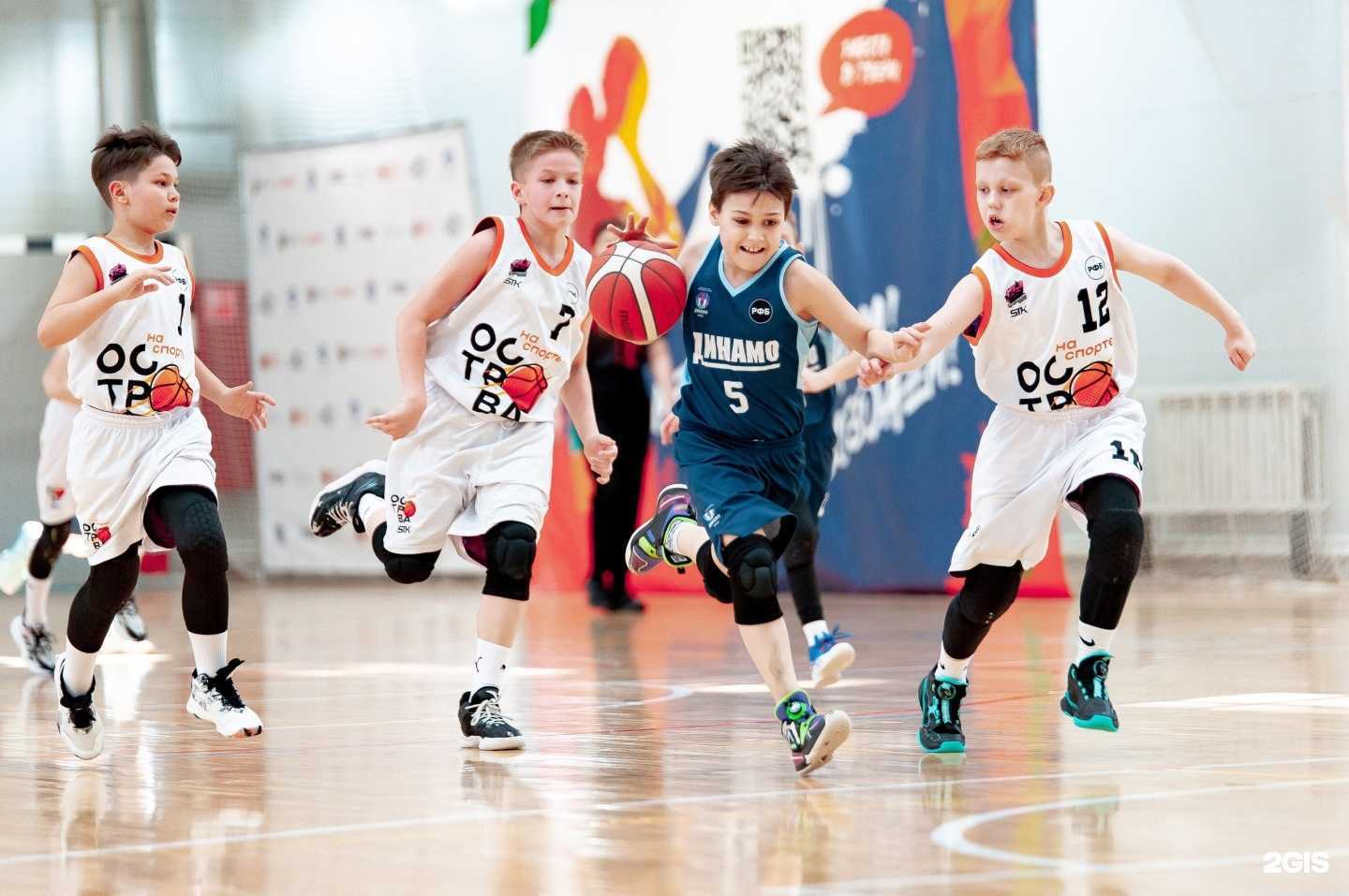 Отзывы на компанию Миллениум спорт в г. Калуга c фото