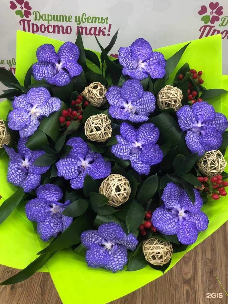 Отзывы на компанию Дарите Цветы Просто Так! в Подольске c фото