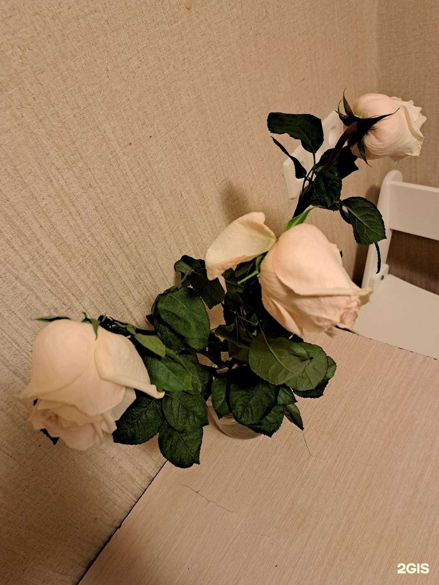 Отзывы на компанию Лютики Цветочки в Самаре c фото