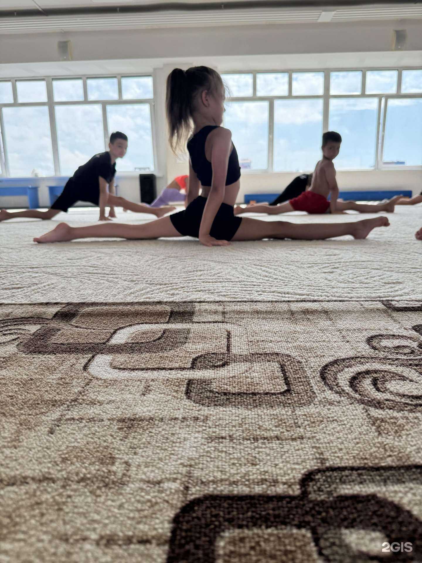 Отзывы на компанию Академия спортивной гимнастики в г. Барнаул c фото