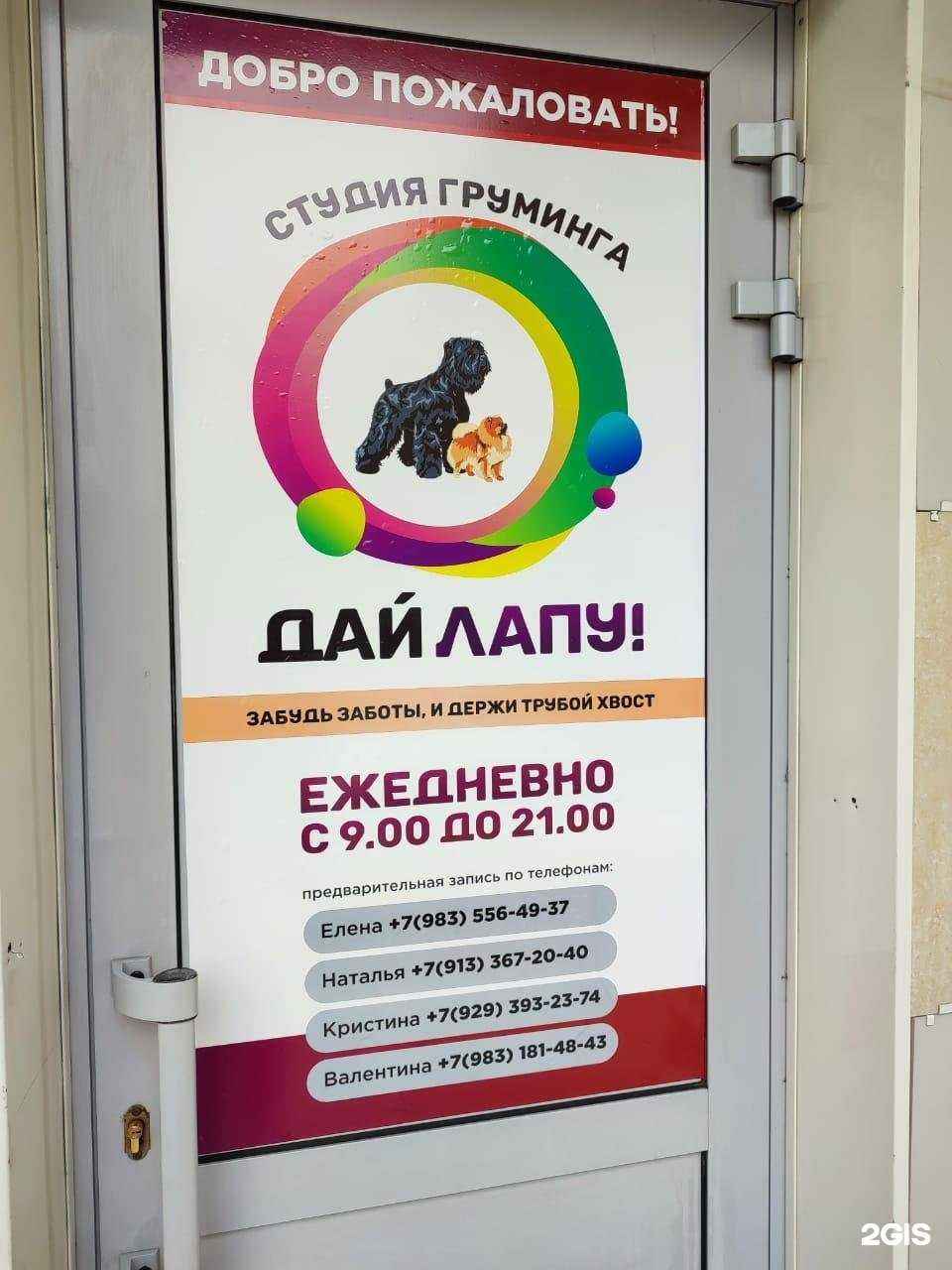 Отзывы на компанию Дай лапу! в Барнауле c фото