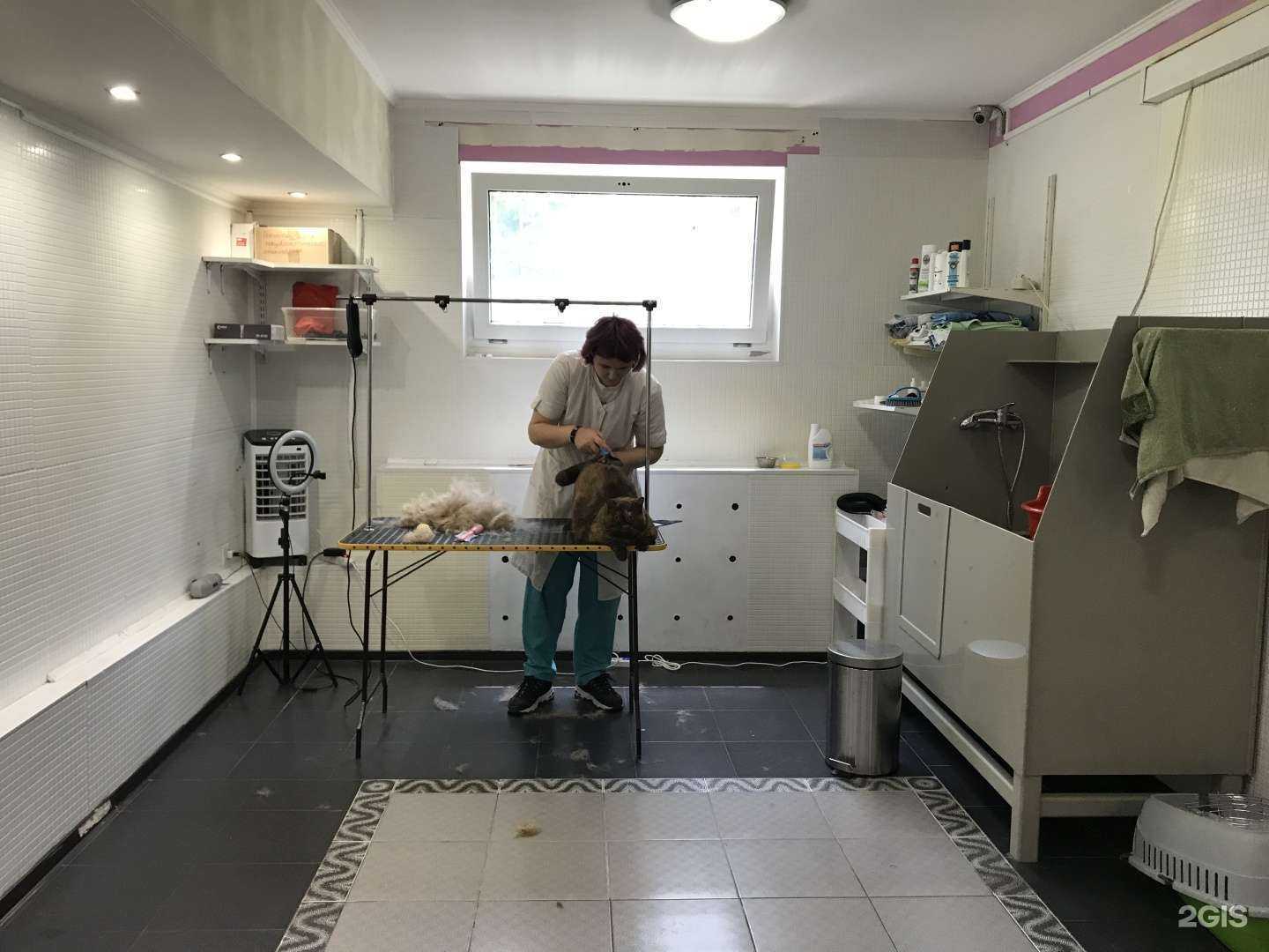 Отзывы на компанию Зоовик в Краснодаре c фото